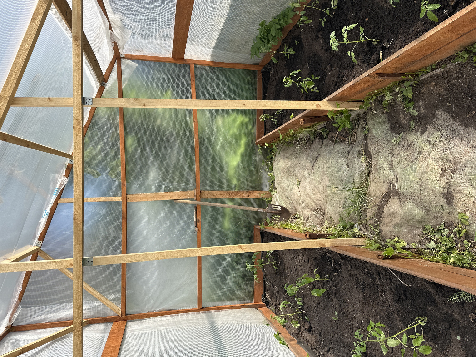 The image shows the interior of a greenhouse. The structure is made of wood and covered with a translucent plastic material. Inside, there are plants growing in the soil along the sides. A garden fork and a shovel are lying on the ground next to the plants. The scene appears to be in a rural or agricultural setting, but no specific indicators identify it as Nizhny Novgorod.