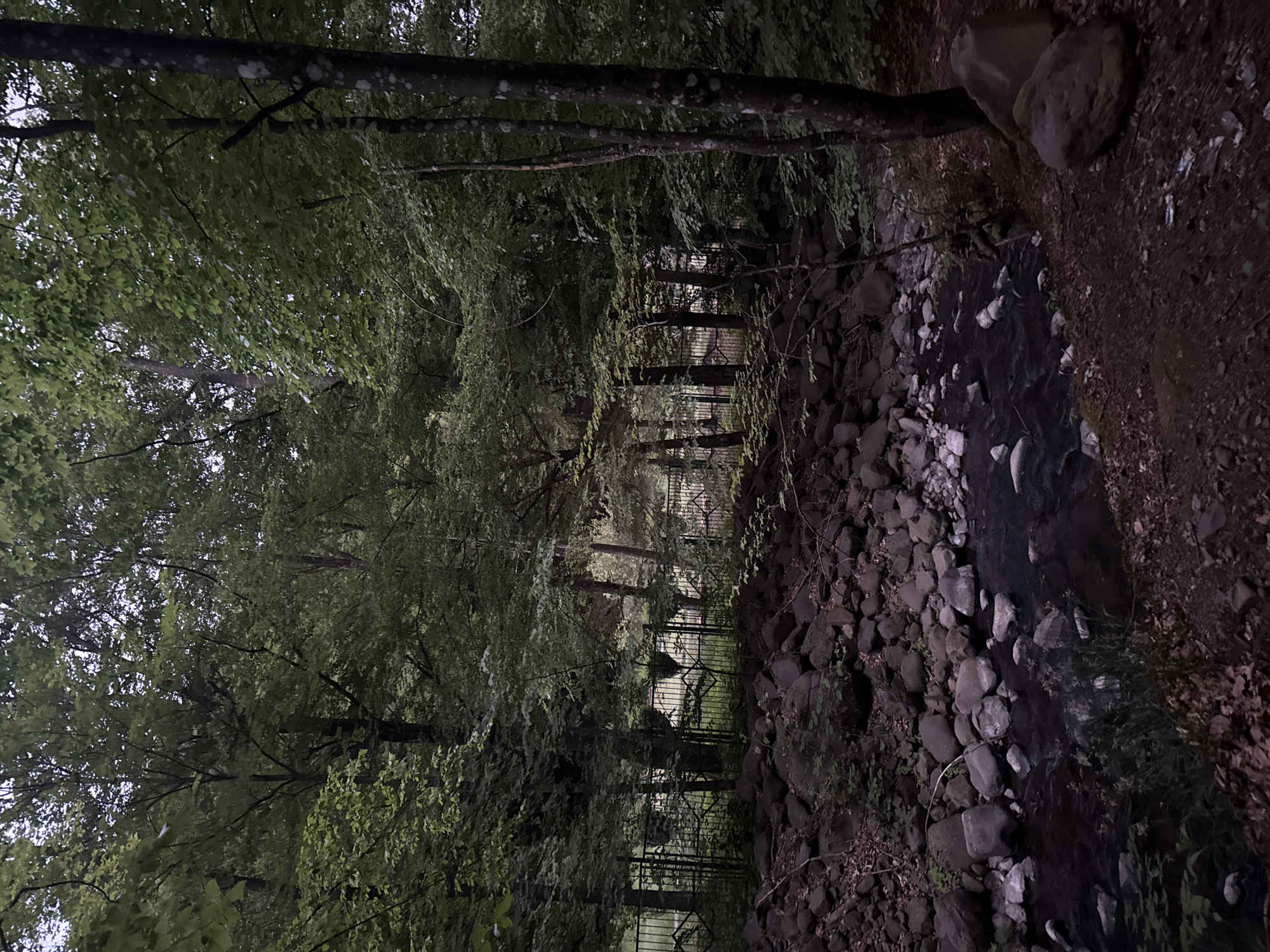 The image depicts a densely vegetated area with a stream running along the right side. The stream is bordered by rocks and soil. The left side is lined with trees, creating a dark, enclosed space. A fence is visible in the mid-ground, partially obscured by the trees. Based on the prompt, the location is in Synyak, Ukraine, but there are no clear landmarks to indicate the exact location. The scene appears to be in a forest or park setting. No people are visible in the image.