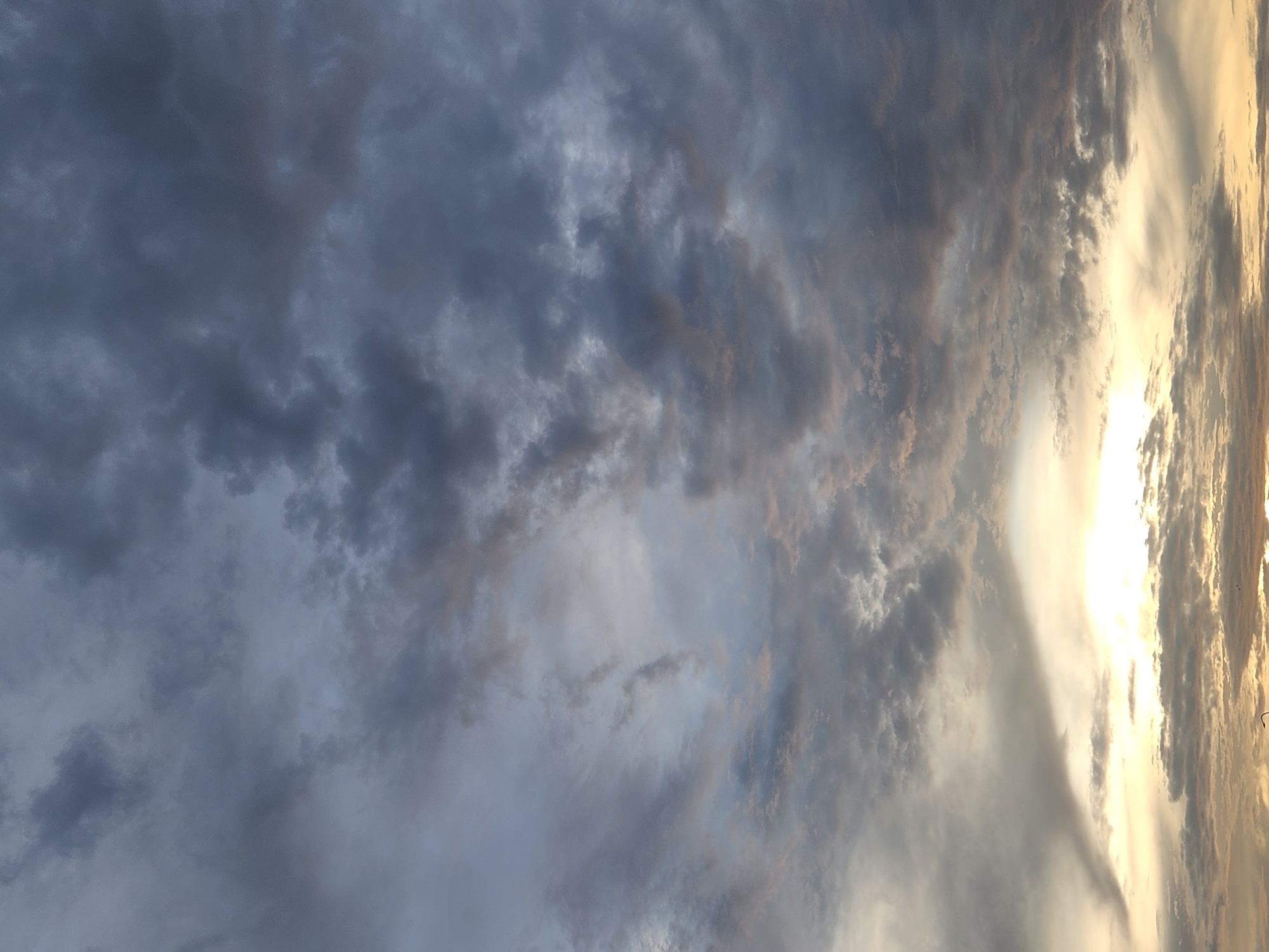 This is a vertical, eye-level shot of a cloudy sky at sunset, viewed from Altamonte Springs, United States of America. The clouds are predominantly dark gray and appear dense, with some areas showing lighter gray and hints of pink and orange, suggesting the sun is low on the horizon. The bottom portion of the image captures the glow of the setting sun, illuminating the lower cloud layer with a bright, warm yellow light. No people, subjects, objects, or actions are discernible in the image, as the focus is solely on the atmospheric conditions of the sky.