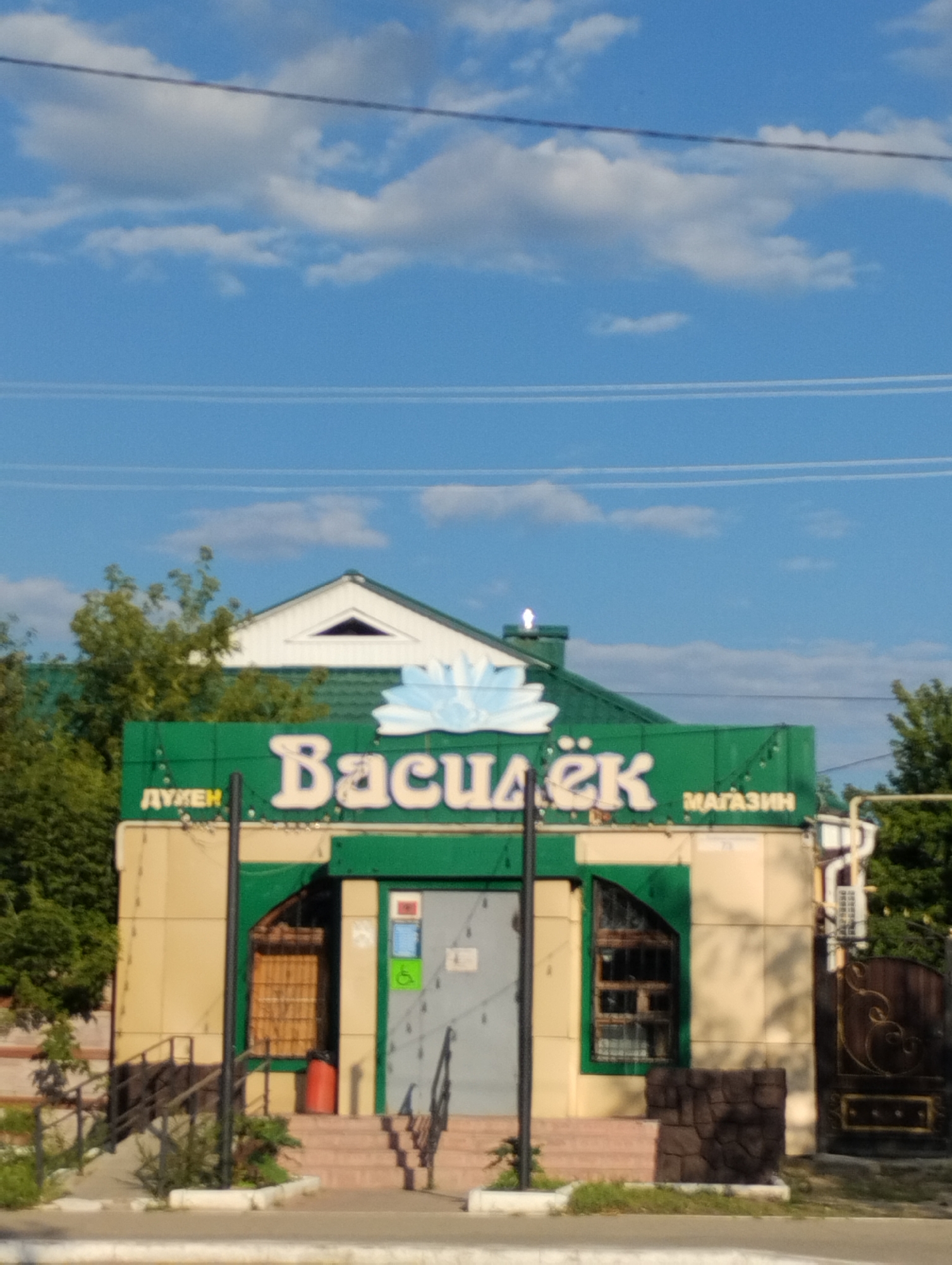 This is a photograph of a store with the name "Василёк" (Vasylyok) in large white letters on a green awning. Below the name, to the left, are the letters "ДУКЕН" (DUKEN) in yellow. To the right of "Василёк" are the Russian words "МАГАЗИН" (MAGAZIN), meaning "shop." The store appears to be a small, single-story building with a light-colored facade. There are windows on the building, some with barred or wooden coverings. A set of pink stairs leads up to an entrance. A red trash can is visible near the stairs. The store is situated in front of a green roof and a portion of a white building. Trees and foliage surround the structure. In the background, a blue sky with scattered white clouds is visible, with power lines stretching across it. The store is located in the city of Kostanay, Kazakhstan.