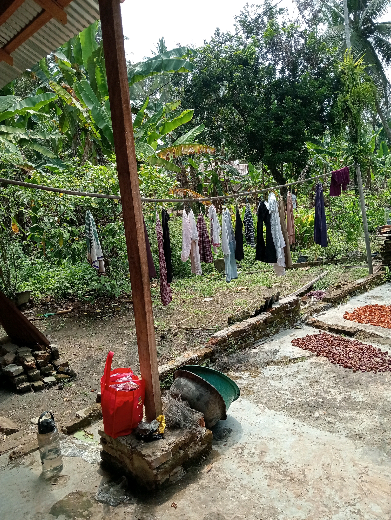 In an outdoor rural setting, clothes are hung to dry on a clothesline suspended between wooden posts. The clothesline is filled with various garments, including dresses, shirts, and pants, in a range of colors and patterns. The background is dominated by lush green vegetation, including banana trees and other tropical plants, suggesting a warm and humid climate. In the foreground, a concrete area is visible with several objects scattered about. A red plastic bag sits on a low brick structure, next to a clear plastic water bottle with a black lid. Further to the right, on the concrete, are piles of small, reddish-brown objects, possibly dried food items or natural materials, arranged in distinct mounds. Two large green and dark-colored basins are also present on the concrete surface, with a net draped over one of them. The scene depicts a utilitarian aspect of daily life in a tropical environment, with an emphasis on laundry and food preparation or preservation.