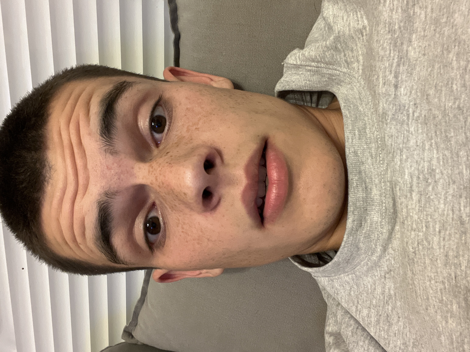 A medium close-up, slightly angled, low-angle shot depicts a young, light-skinned male. He has dark, short-cropped hair, and prominent forehead wrinkles. His eyes are brown and he has freckles on his face, particularly around the nose. His lips are slightly parted. He is wearing a light grey sweatshirt. The background consists of grey cushions and vertical blinds. Location is undetermined.