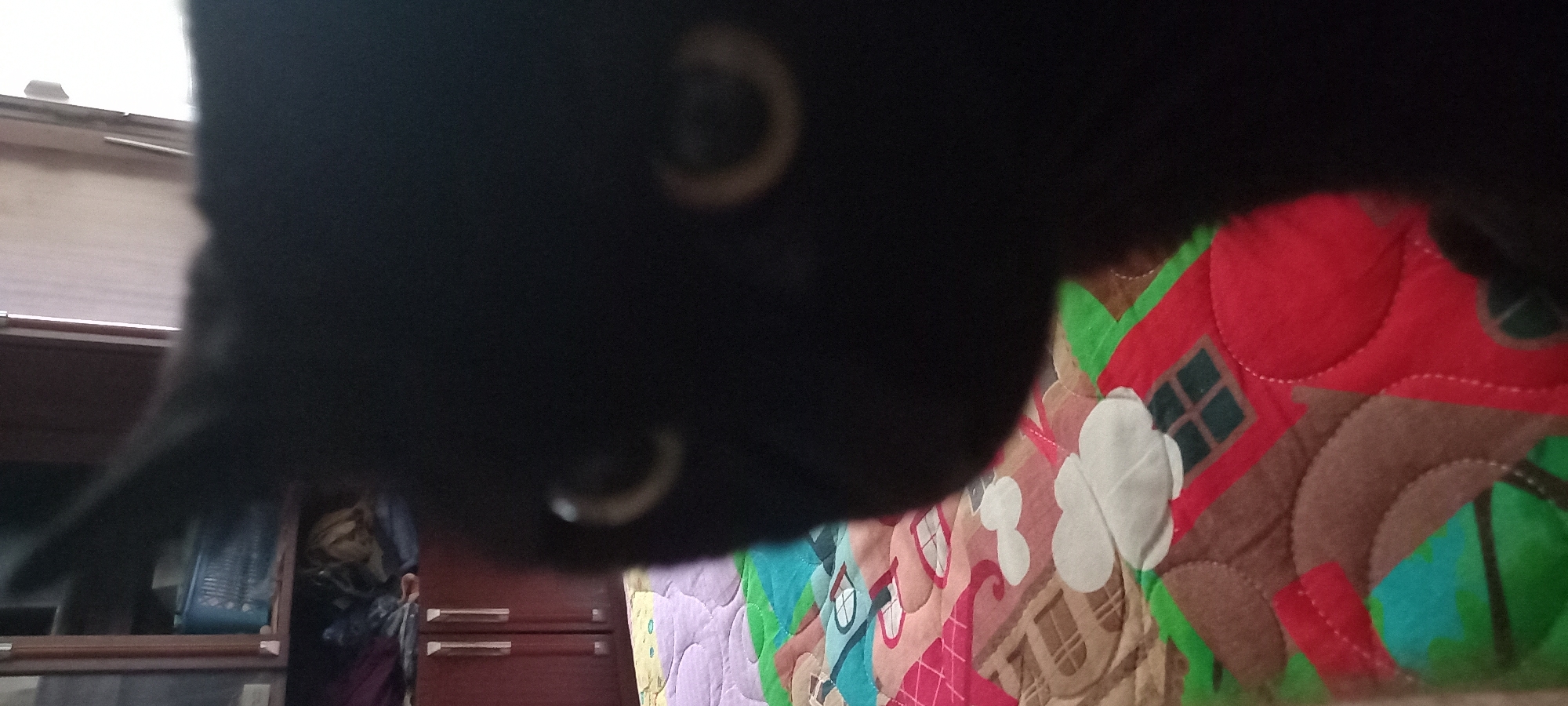 The image presents a close-up, out-of-focus view of a black cat indoors, in the city of Kryvyi Rih, Ukraine. The cat occupies the right and central portions of the frame, with its dark fur largely blurred. Its right ear is visible, pointed slightly upwards. Two eyes glow with a distinct yellowish-green reflection, indicating a direct gaze towards the camera. In the midground to the left, a colorful quilted blanket or bedspread is visible, patterned with cartoonish illustrations including parts of a red-roofed house, white cloud shapes, and abstract designs. Further in the background on the left, a dark wooden cabinet or wardrobe with two doors and silver-colored handles is partially visible, containing a blue plastic basket on a shelf and other textile items below. To the upper right, a light-colored wall or doorframe is present, with a vertical streak of light. The scene is illuminated by ambient indoor light, contributing to the shallow depth of field.
