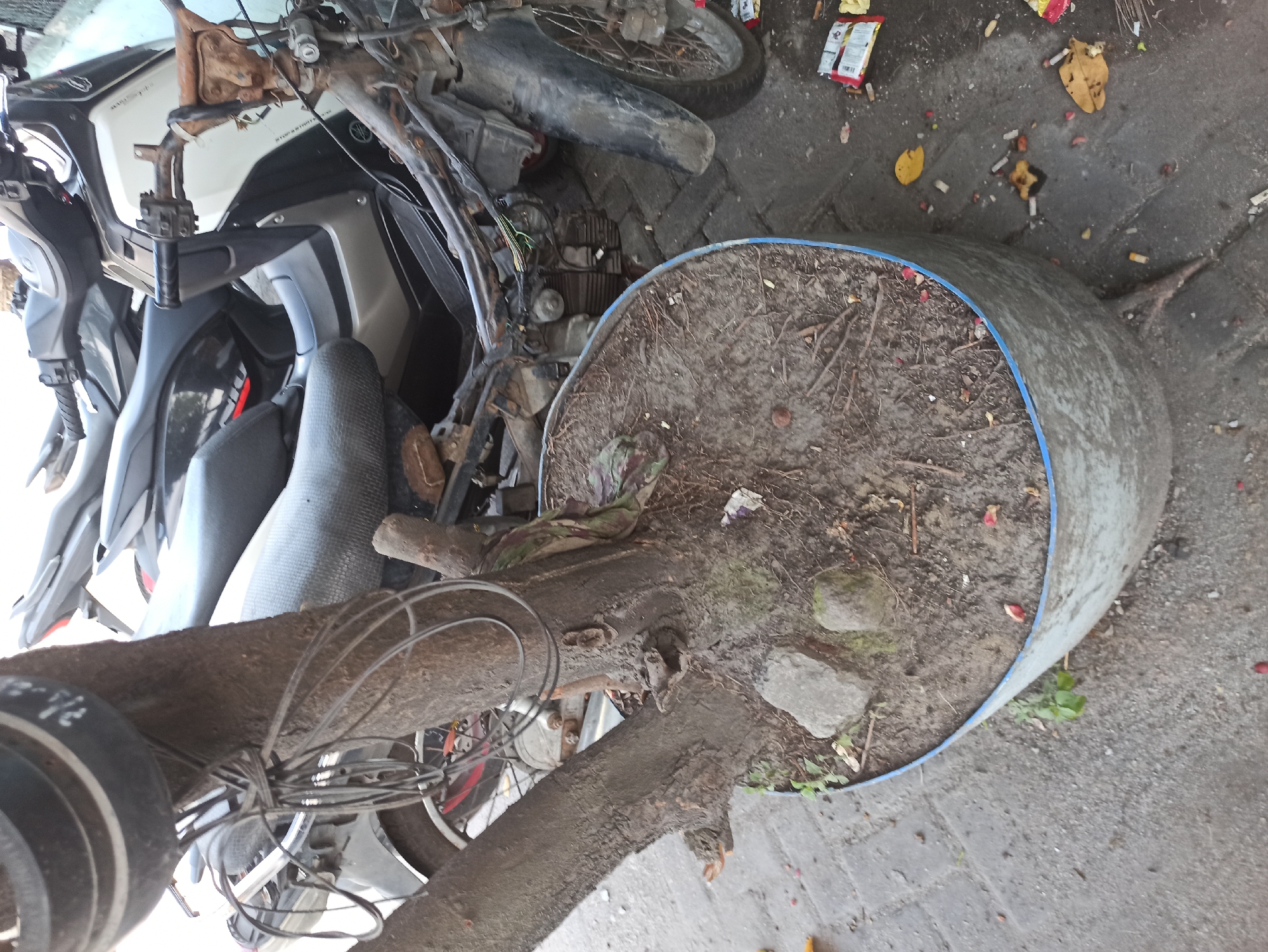 An eye-level, medium shot captures a tree planted in a weathered, galvanized metal planter on a brick sidewalk. The planter's blue rim is visible along the bottom edge of the image, with the tree trunk emerging from the dirt and debris within. The tree's trunk is thick and rough, with several branches extending outwards. Wires are loosely wrapped around the trunk and branches. Behind the planter, a row of motorcycles are parked. One motorcycle in the foreground is partially disassembled, revealing its engine and wiring. The ground around the planter and motorcycles is littered with cigarette butts, fallen leaves, and small pieces of trash. The scene suggests a somewhat neglected urban environment in the City of Medan, Indonesia, likely on a street or alleyway where vehicles are commonly parked.