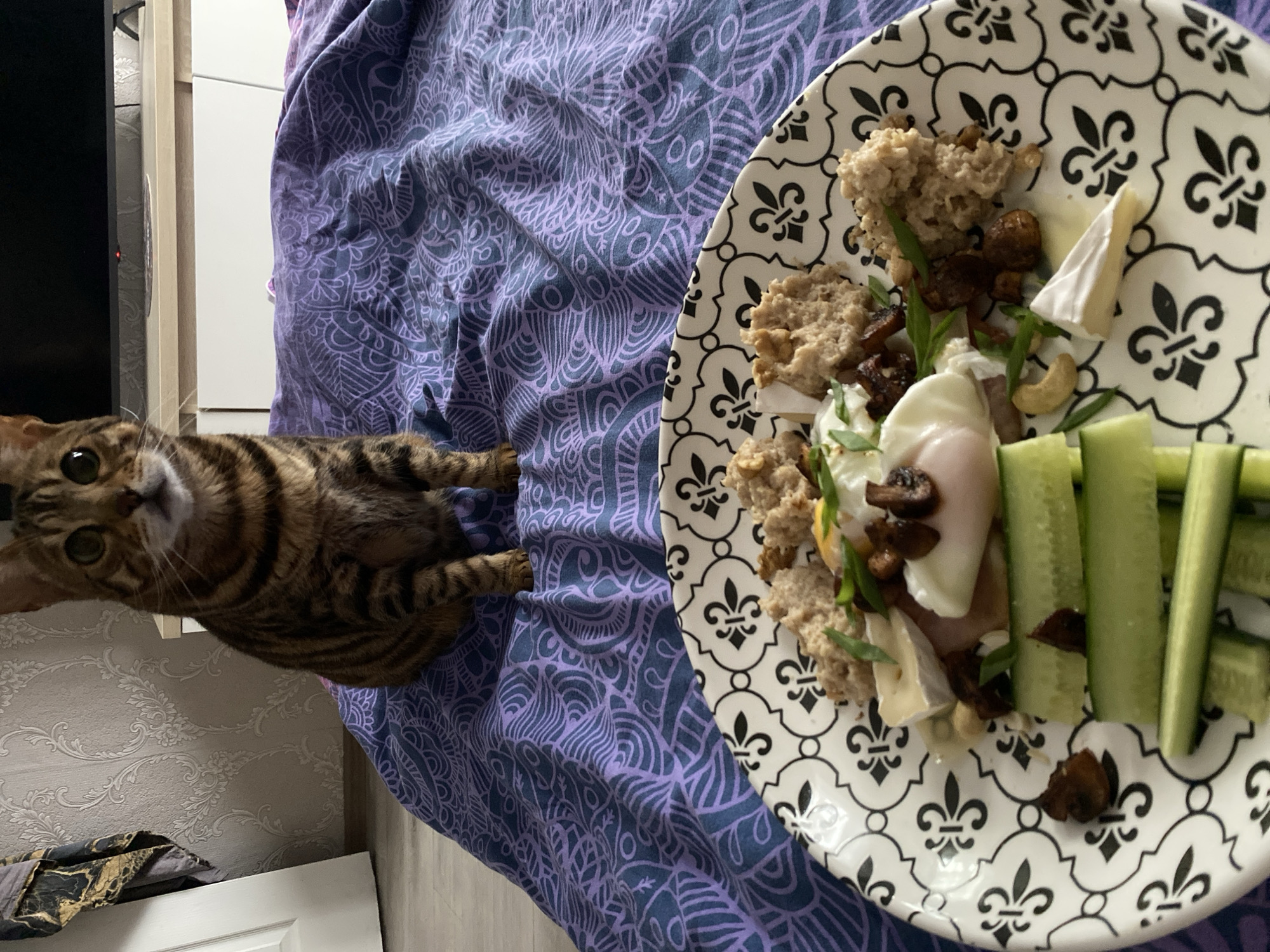 A Bengal cat is positioned on a bed with a patterned blue and white duvet, next to a plate of food. The plate contains what appears to be toast, mushrooms, cheese, eggs, and sliced cucumbers. The scene is likely indoors, but the city of Chaikovsky, Russia cannot be identified from the image.