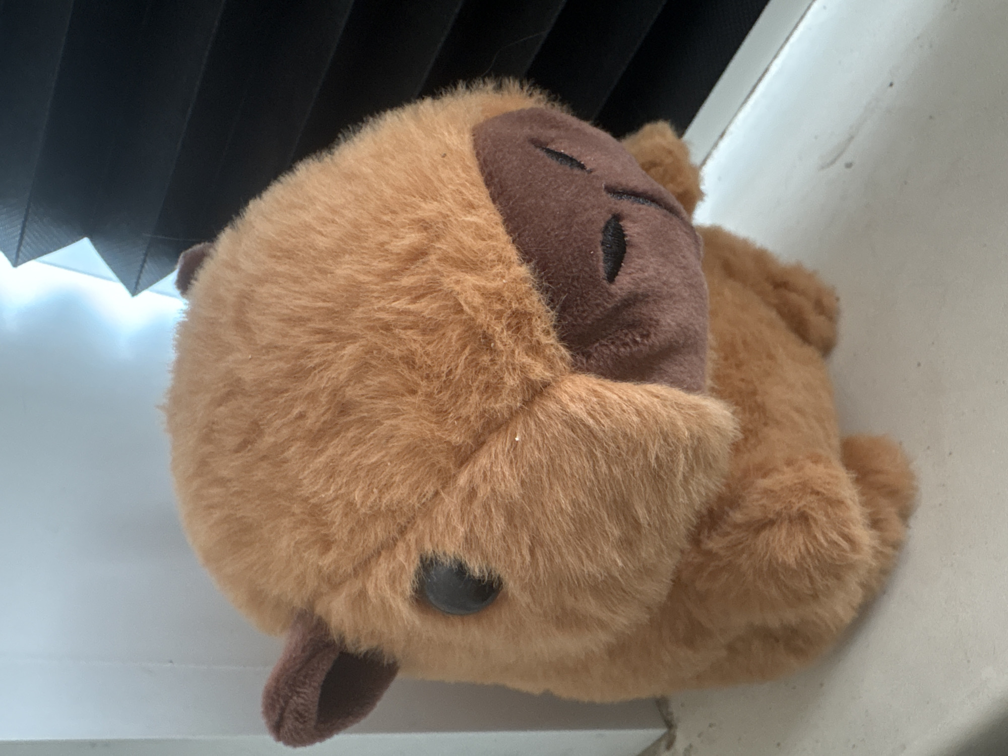 A close-up, slightly angled shot shows a plush capybara toy positioned on a windowsill. The toy is light brown with darker brown accents on its ears, nose, and eyes. It is facing to the left and slightly down. The windowsill is white and appears to be made of a smooth material. To the right of the capybara, a dark, slatted object, possibly blinds, is visible, with a bright light source originating from above and to the left. The background to the left of the capybara is a pale, washed-out blue, suggesting it is a wall or a window. There is no indication of the city of Tulinskiy, Russia, in the image.