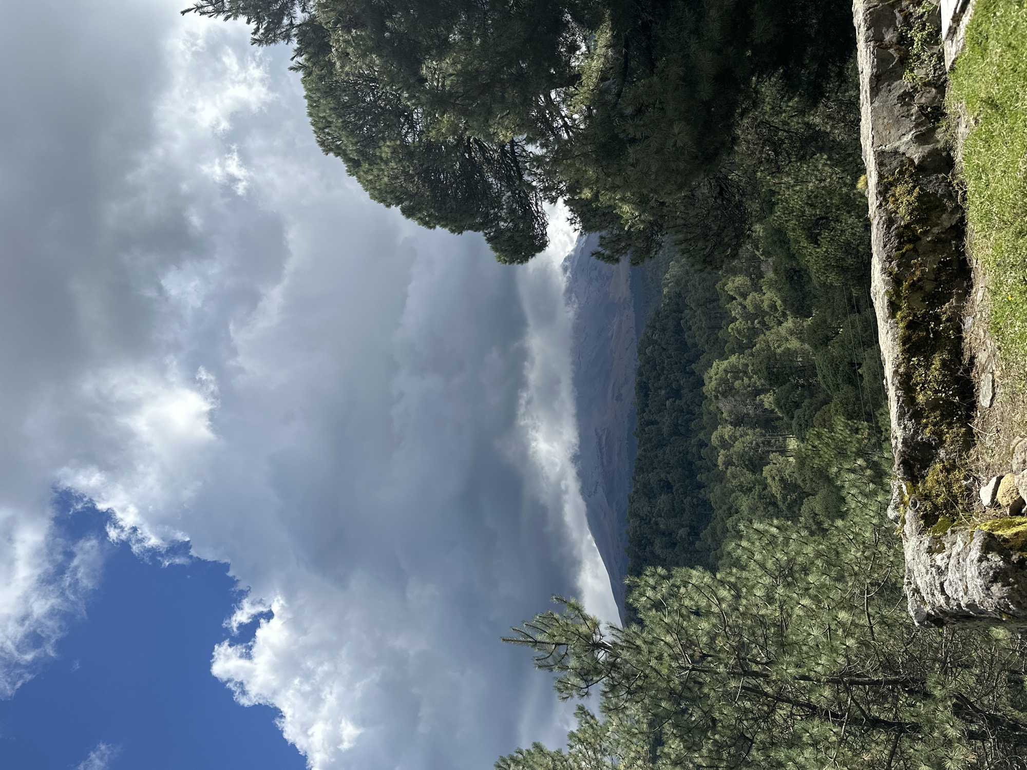 This is a vertical, eye-level, medium shot of the Iztaccíhuatl volcano and its surroundings. The sky is partly cloudy with dark, heavy clouds dominating the upper portion of the frame, obscuring parts of the volcano. The volcano, a prominent peak in the distance, is covered in clouds and its slopes are visible. In the foreground, a dense forest of green trees covers the landscape, with some trees closer to the viewer appearing darker and larger. The lower right corner of the image shows a weathered stone wall covered in moss, with grass growing in front of it. The overall scene depicts a natural landscape with a volcano in the background and a forest in the mid-ground and foreground.