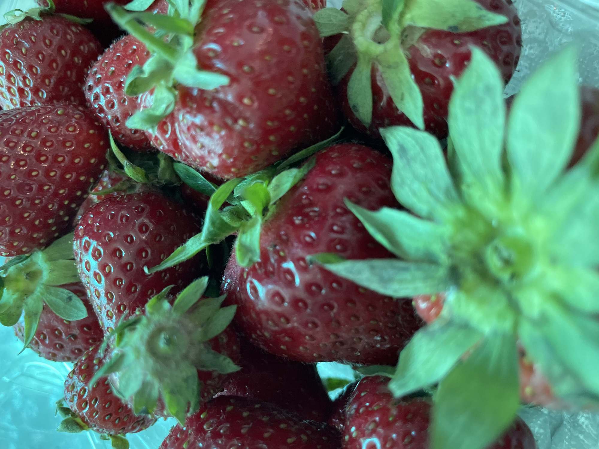 A close-up shot shows a collection of fresh strawberries, still bearing their green leafy tops. The strawberries are a vibrant red color with visible seeds on the surface. They appear to be piled together in a clear plastic container. The container suggests they may have been purchased from a store or market. There are no people visible in the image. The image does not provide information that specifically ties the location to Olginka, Russia, although they may have been grown or sold there.