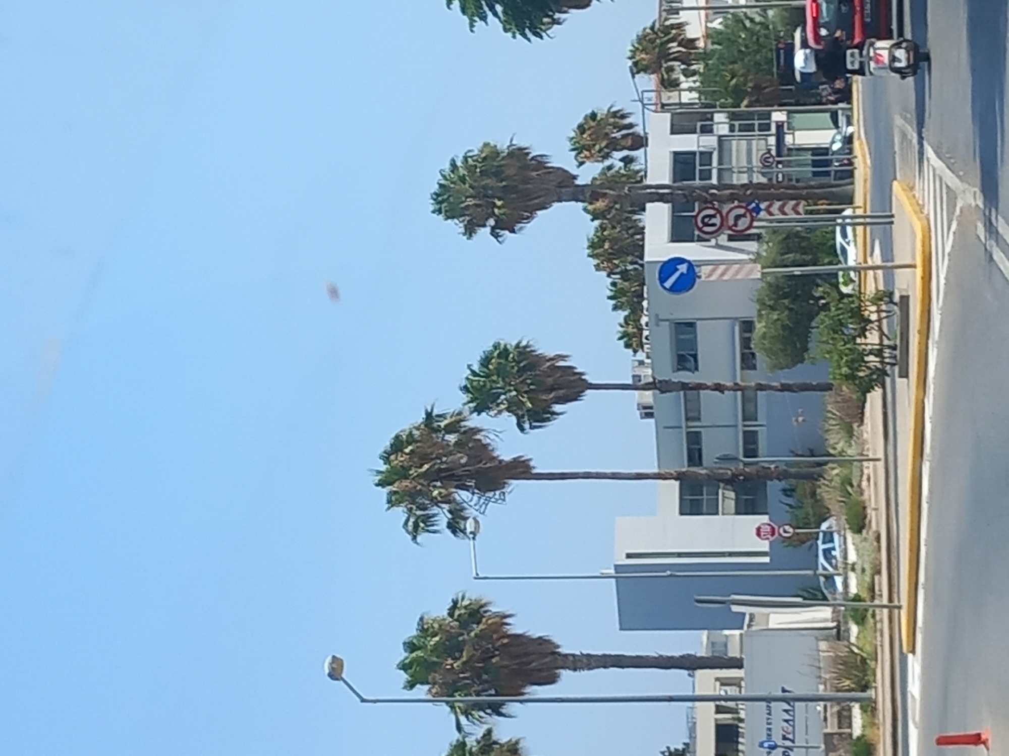 The image shows a street scene in the city of Kos, Greece, with a clear blue sky overhead. Several tall palm trees line the street, with their fronds showing signs of wear. In the background, modern buildings with white facades and numerous windows are visible. The street is paved, with yellow and white markings indicating a pedestrian crossing and traffic lanes.
Several traffic signs are present, including a blue directional arrow sign with a white arrow pointing left, a red circular sign with a white "P" inside, and a "STOP" sign. A white police car is parked on the side of the road, partially obscured by foliage.
In the foreground, a person on a scooter wearing a white helmet and black clothing is riding towards the right of the frame. To the right of the scooter, part of a red vehicle, likely a car or bus, is visible. The overall impression is of a sunny day in a coastal city, with a blend of natural elements and urban infrastructure.