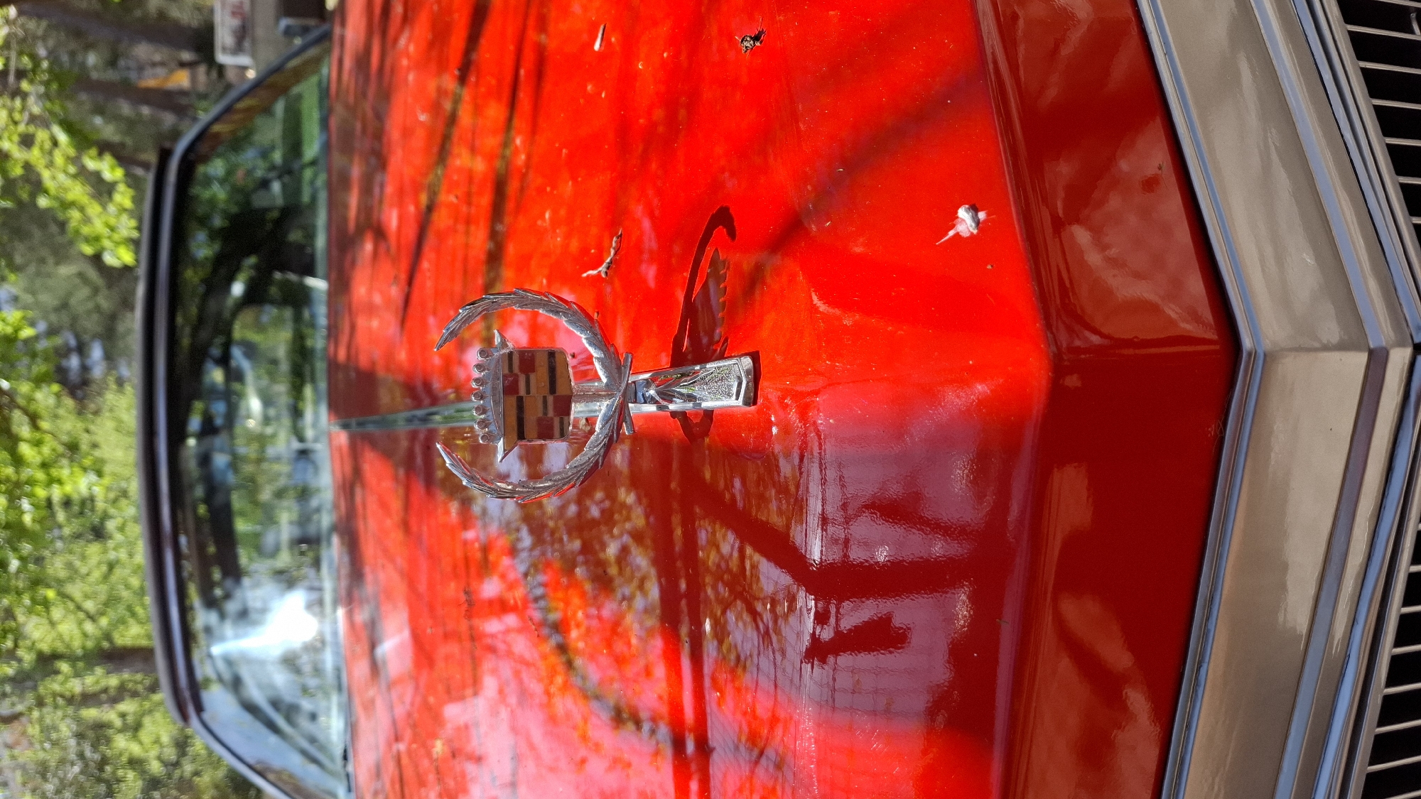A close-up, outdoor shot of the hood and emblem of a red Cadillac. The emblem is prominently displayed, reflecting light and the surrounding environment. Small debris is scattered on the hood's surface. The windshield and adjacent green foliage are visible to the left. The side of the car, with chrome trim, extends to the right. The location, Budva, Montenegro, is not identifiable within the frame.