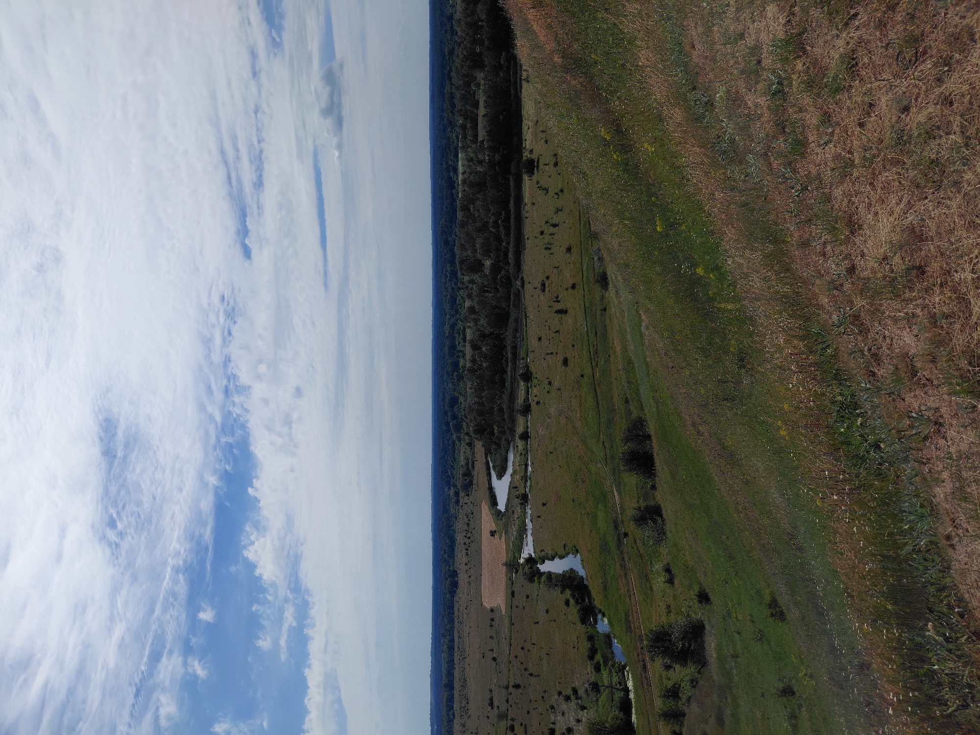 The image depicts an aerial view of a rural landscape. The scene is divided vertically into two main sections: a sky on the left and land on the right. The sky is a clear blue with scattered white clouds, suggesting a pleasant day. The land consists of various terrains, including a dense forest, a field of dry, brown grass, and a green meadow dotted with small trees and shrubs. A winding river or stream meanders through the landscape, reflecting the sky. In the distance, the horizon is marked by a line of trees, likely bordering the forest. The overall impression is one of natural beauty and tranquility, with no human presence or specific activity evident. The image appears to be taken during daylight hours, likely mid-morning or afternoon, given the bright lighting.