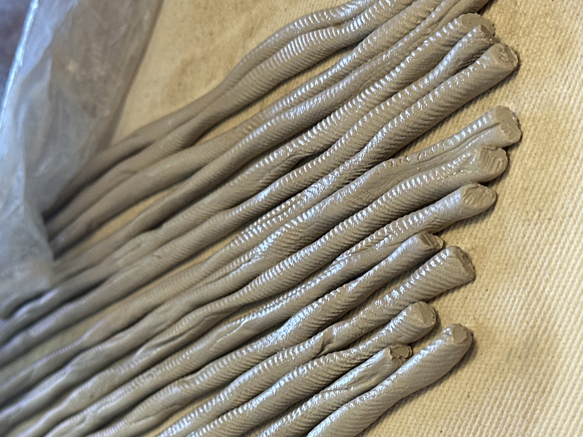 The image shows a close-up, overhead view of several long, thin, gray, rope-like objects arranged in parallel lines on a textured, light-colored surface. The objects appear to be made of a pliable material, possibly clay or dough, and each has a ribbed texture along its length. The ends of some of the objects are visible, showing a roughly cut, flat surface. In the background, a translucent plastic bag is partially visible, obscuring the upper portions of the objects. The lighting is soft, creating subtle shadows that highlight the texture of the material. The scene is devoid of any contextual elements that would place it within Nevinnomyssk, Russia, or any specific urban environment. The focus is entirely on the arrangement and texture of the coiled objects.