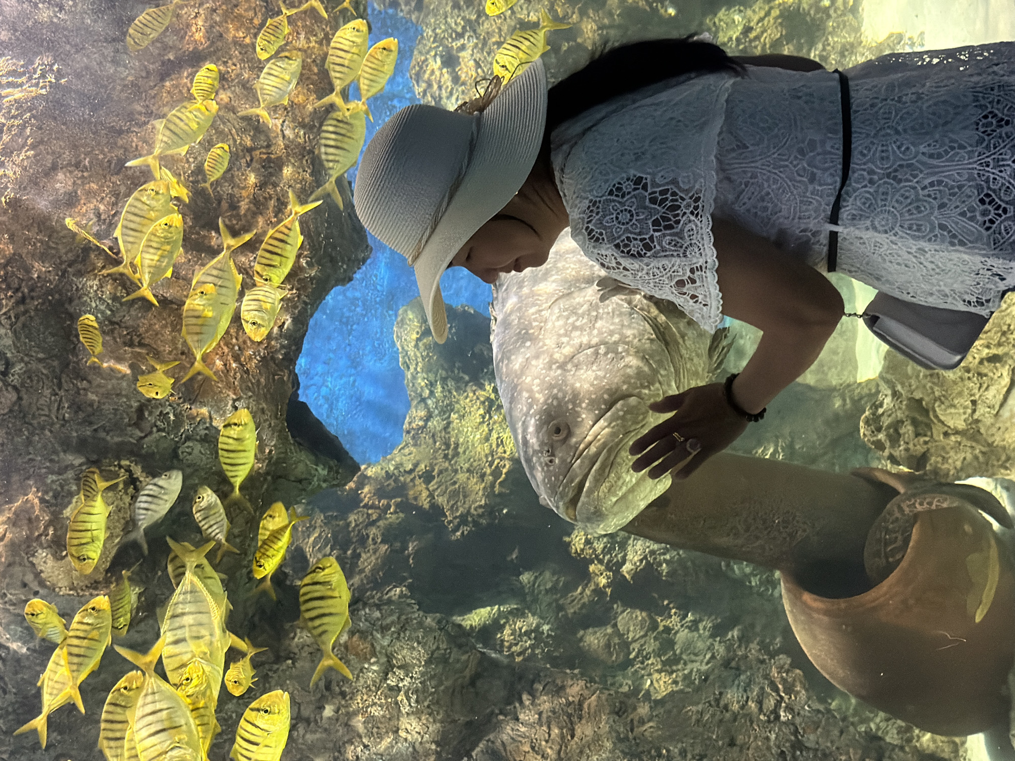 A woman in a white lace top and a wide-brimmed hat stands in front of a large aquarium tank, her hand extended as if to touch the glass. She is positioned to the right of the frame, facing left, and looking at a large grouper fish that is close to the glass. The grouper has a mottled gray and white appearance. To the left of the grouper is a large, dark, urn-like object, partially submerged in sand. A smaller, patterned creature, possibly an eel or sea snake, is visible coiled within the opening of the urn. In the background, a school of small, bright yellow fish with black stripes swims. The aquarium environment includes rocky structures and a blue, illuminated water background. The image appears to have been taken at the Tri Nguyen Aquarium, located on Hon Mieu Island in Nha Trang, Vietnam.