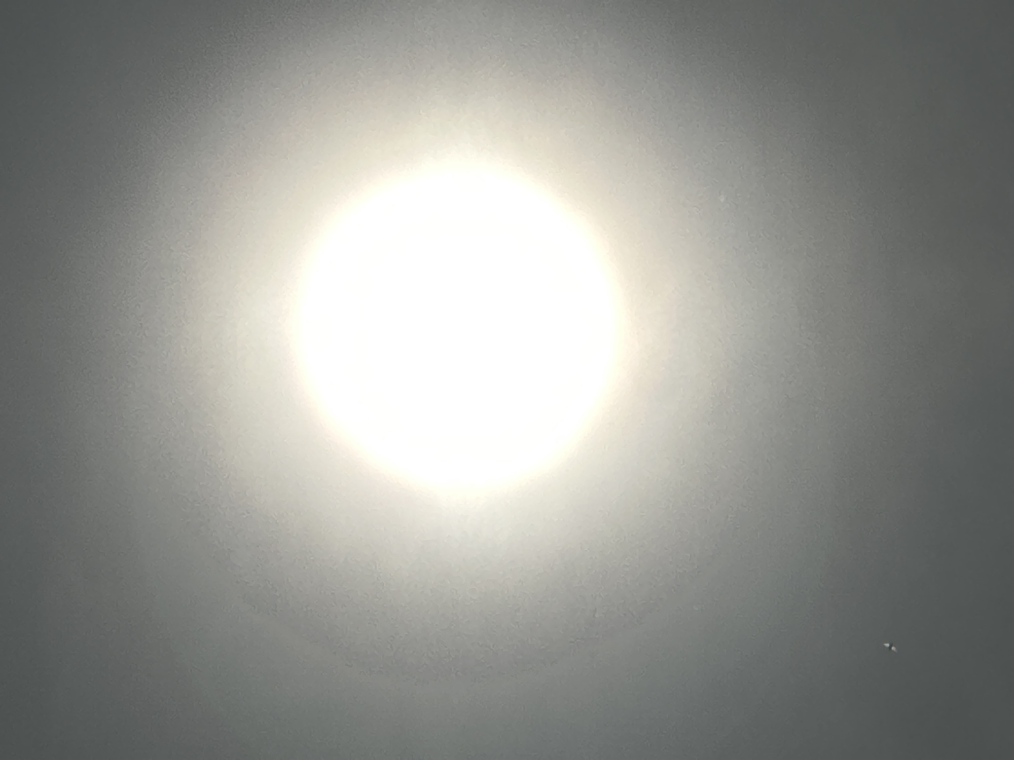 The image shows a bright, hazy sky with a central bright area that appears to be the sun. The sky is a uniform grey color, and the bright area obscures the surrounding details. There is a small dark object visible in the lower right corner. Location information is not visible in the image.