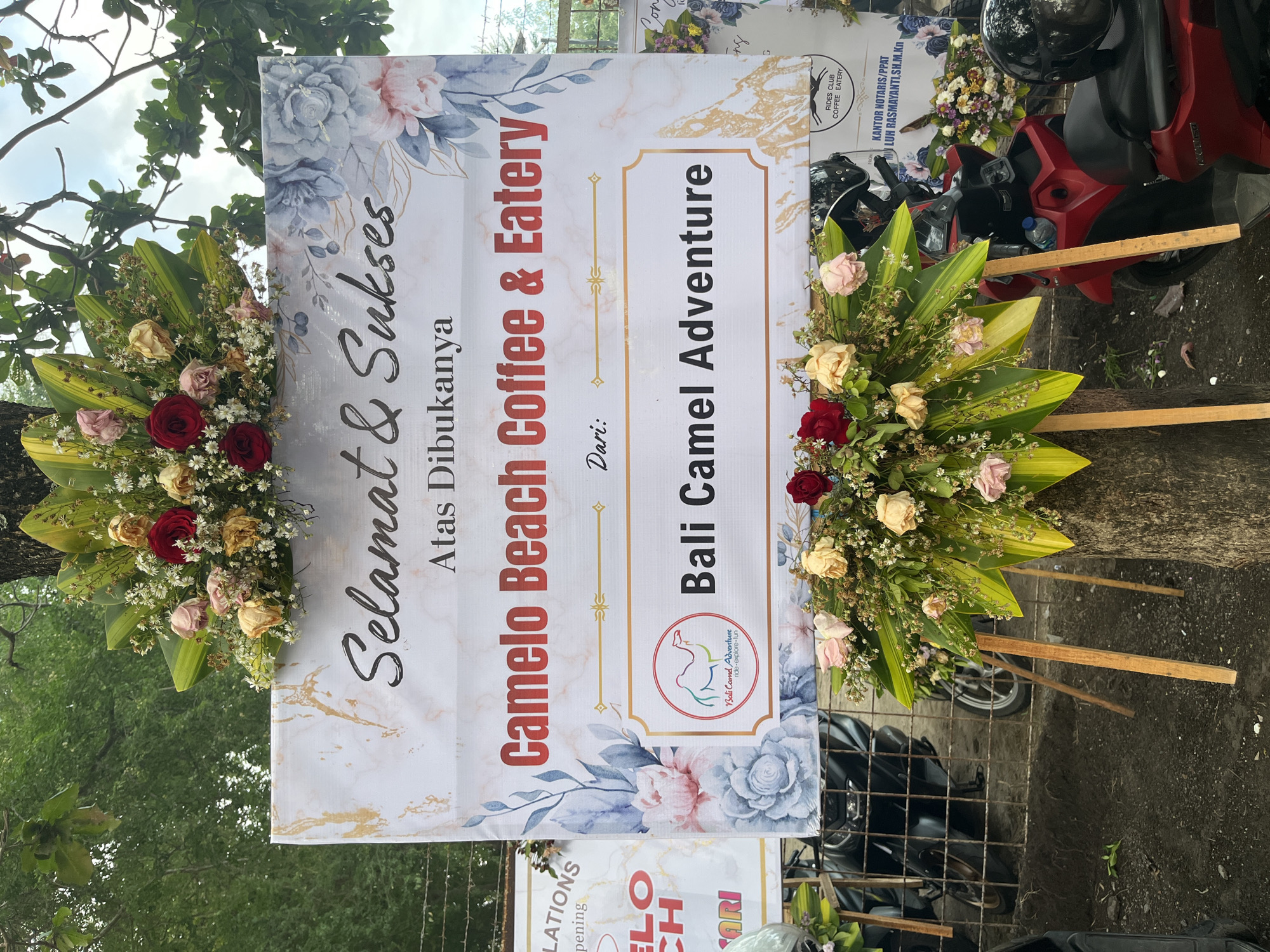 The image shows a large banner in Indonesian, decorated with floral arrangements, announcing the opening of "Camel Beach Coffee & Eatery". The banner, displayed on a wooden easel, features elegant script and floral patterns. Below the main announcement, it reads "Dari: Bali Camel Adventure", suggesting that Bali Camel Adventure is the entity sending congratulations. The scene appears to be outdoors, with a tree trunk visible behind the banner and foliage overhead, indicating a natural setting. In the background, several motorcycles are parked, suggesting a public area or an establishment with parking. A smaller banner to the left, partially visible, also seems to relate to an opening or congratulations. The overall impression is of a festive occasion, likely a business opening in Kuta, Indonesia, given the mention of "Bali". The specific location in Kuta is not explicitly stated on the banner.