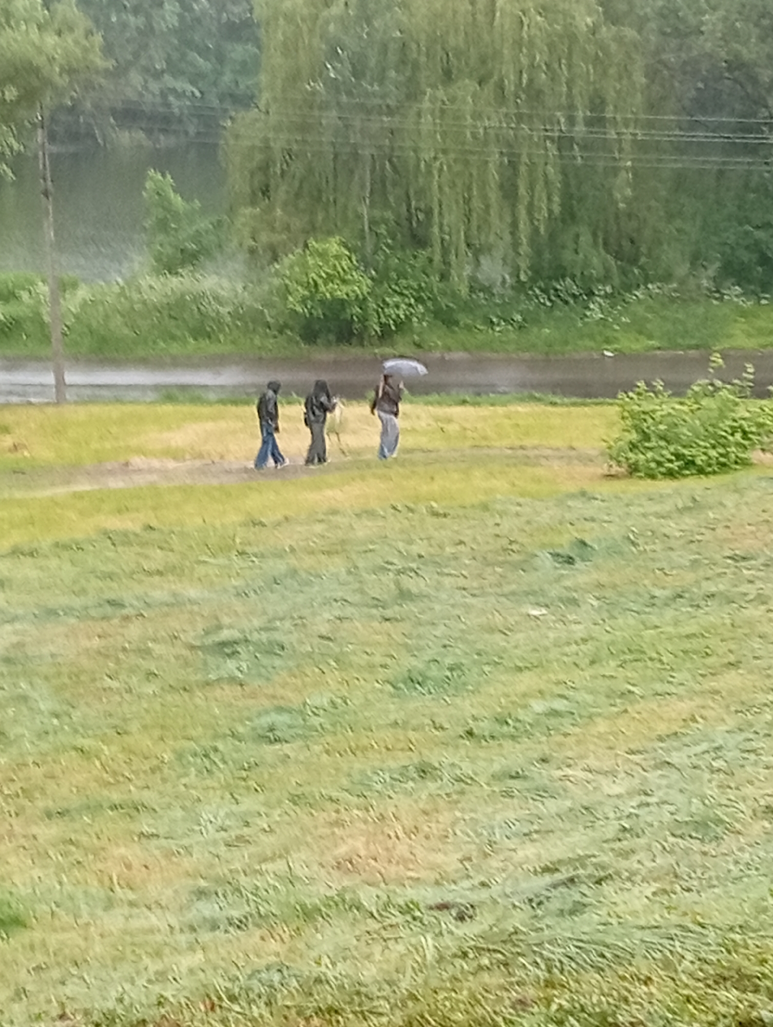 The image depicts a rainy day in Poltava, Ukraine. Three individuals are walking along a path in a grassy field. The person farthest to the right holds an open umbrella. A body of water is visible in the background. The environment includes trees and bushes. The sky is overcast.