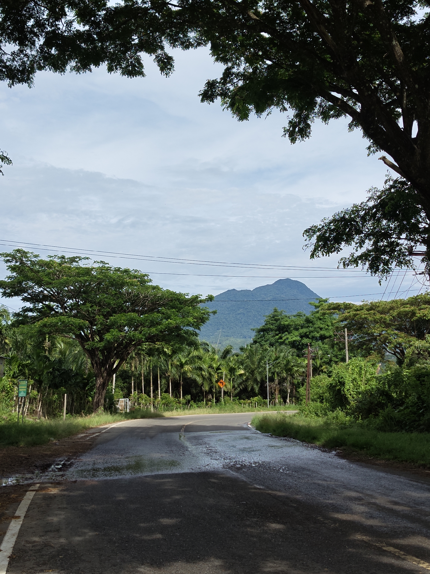 A road with standing water on the surface curves into a bend under a canopy of trees. The sky is overcast. A mountain range is visible in the distance. A yellow warning sign is present on the right side of the road. Utility poles line the road. The location is in the city of Unknown, Indonesia.