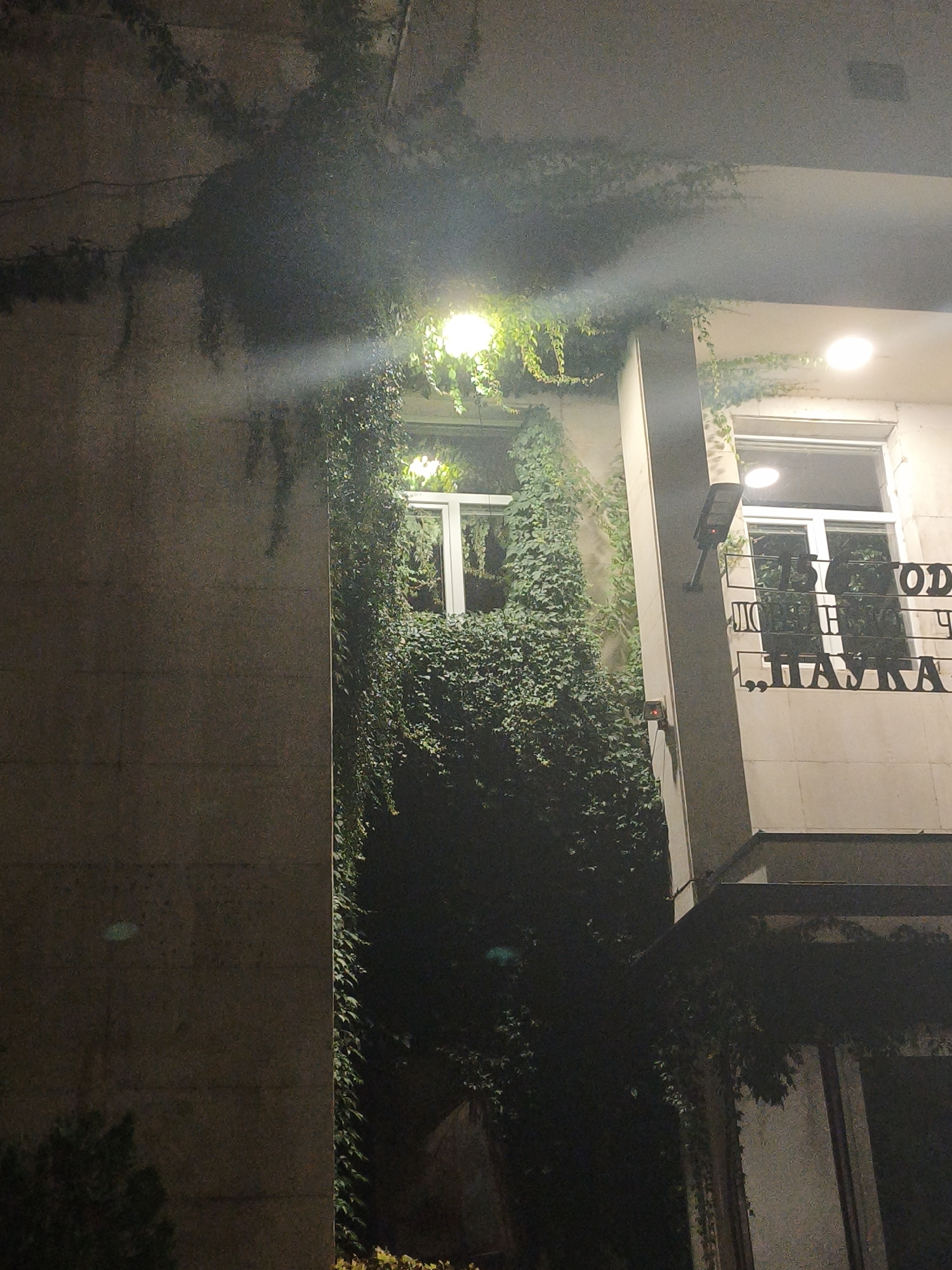 The image shows a building facade at night, covered in dense green ivy. Two windows are visible, both with white frames and illuminated interiors. A street lamp is mounted on the wall to the right of the right window, its light casting a beam downwards. Above the right window, there is signage with Cyrillic lettering that appears to read "ДОД" and "НАУКА". The building is a light-colored concrete or stone structure. The overall scene suggests an urban environment, possibly a commercial or institutional building, with the ivy providing a natural, somewhat overgrown aesthetic. The location is identified as Lovech, Bulgaria, suggesting this is a building within that city.