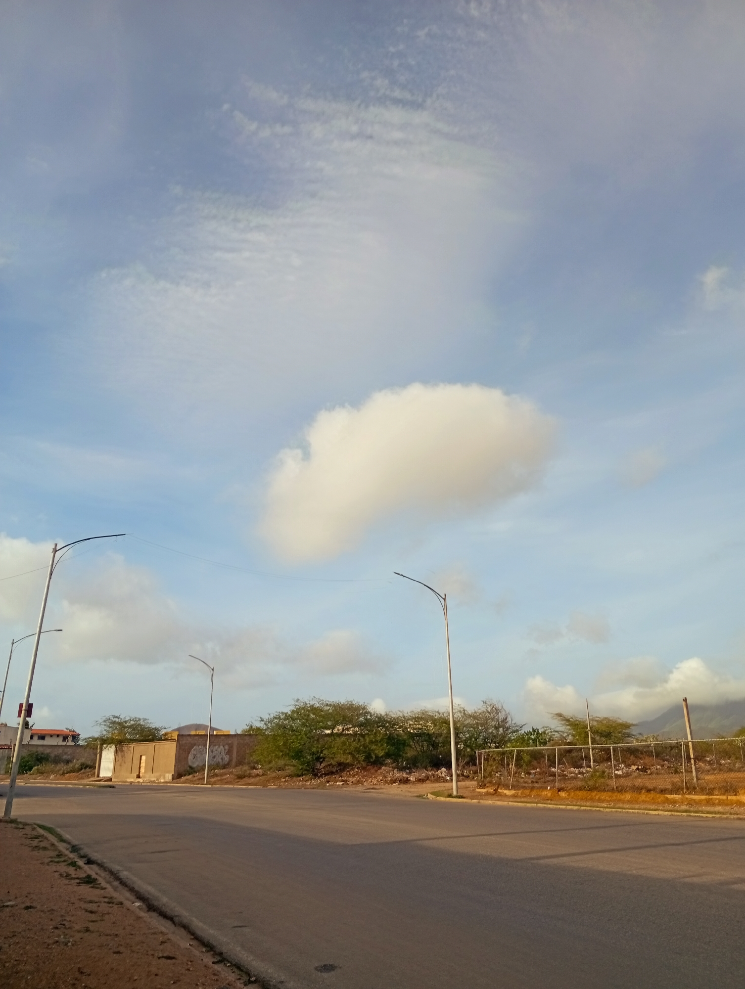 This image depicts a street scene in the city of Juan Griego, Venezuela. The foreground features an asphalt road with a grey concrete curb and a dirt shoulder. To the left, a sidewalk is visible. In the midground, a row of streetlights with dark poles and lamps line the side of the road. Behind the streetlights, there is a low wall made of concrete blocks, with some graffiti spray-painted on it. A white metal gate is set into the wall. Beyond the wall, there are various trees and shrubs, some appearing dry and sparse, suggesting a warm climate. A chain-link fence runs along the edge of the property behind the wall. In the background, hills and mountains are visible under a light blue sky filled with scattered white clouds. The overall lighting suggests it may be morning or late afternoon. There are no people or animals visible in the image.
