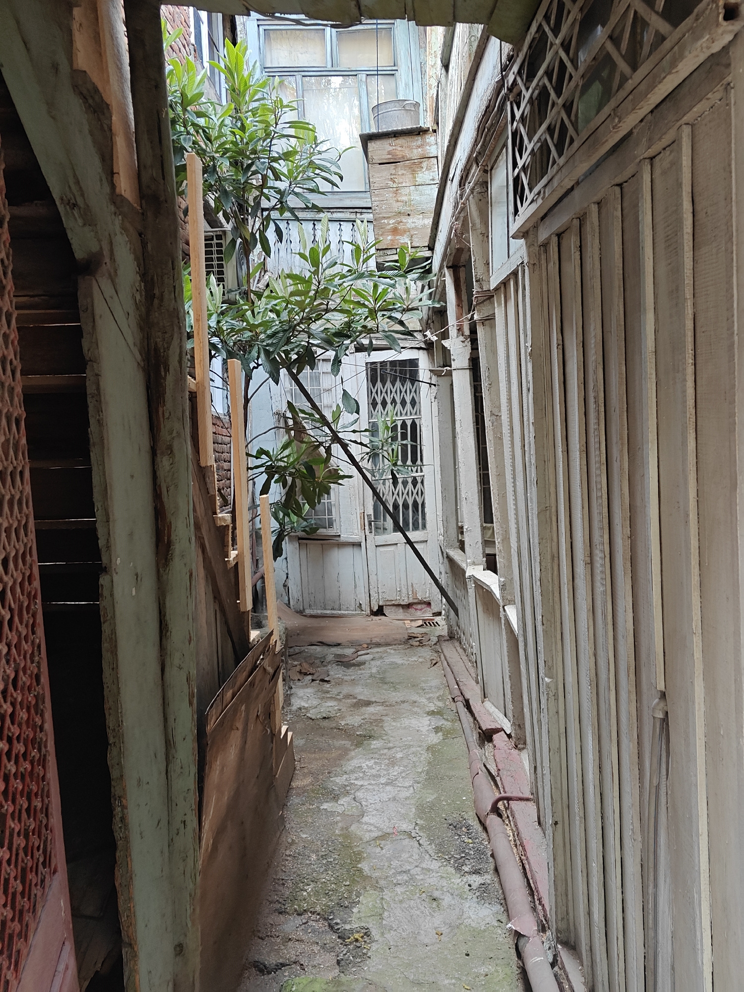 This vertical shot depicts a narrow, shaded alleyway or courtyard nestled between old, weathered buildings in what appears to be a historic urban setting, consistent with Tbilisi, Georgia. The scene is dominated by worn wooden structures and a central, thriving plant.
On the left side, a dark opening leads to a wooden staircase, partially obscured by a section of a reddish-brown metal screen or gate in the immediate foreground. Opposite, on the right, a wall composed of vertical, light-colored wooden planks shows signs of age with peeling paint. Above this wall, an ornate wooden lattice design is visible. A dark, possibly rusty, pipe runs along the bottom of this right-hand wall.
The ground of the alley is an uneven, cracked concrete or paved surface, marked with patches of dirt and moss, suggesting prolonged exposure to the elements. A prominent feature in the midground is a lush, green tree or large shrub, its branches and abundant foliage reaching upwards, bringing life to the enclosed space.
In the background, on the left, an old building facade is visible, featuring light-colored wooden elements, a multi-paned window, and a metal bucket perched on an upper ledge. To the right in the background, another building displays a white wooden door, secured by a white metal grille that covers its window panes.
The lighting is soft and diffused, indicating either an overcast day or deep shade within the alley. The architectural style, characterized by wooden balconies, ornate lattice work, and aged facades, evokes a sense of historical character and urban decay, yet with a lived-in quality. There are no people visible, no explicit activity taking place, and no discernible text in the image.