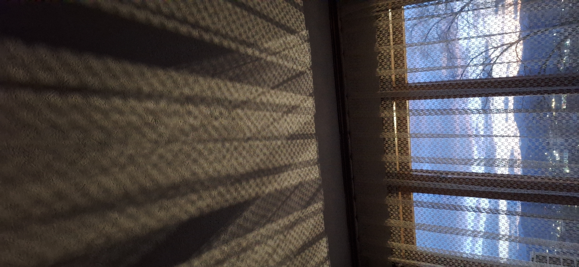Indoor shot. A wall illuminated with the shadow pattern of a window blind, and part of a window covered with a sheer patterned curtain. The sky and a bare tree branch are visible through the window. There is no evidence that the image was taken in Blagoevgrad, Bulgaria.