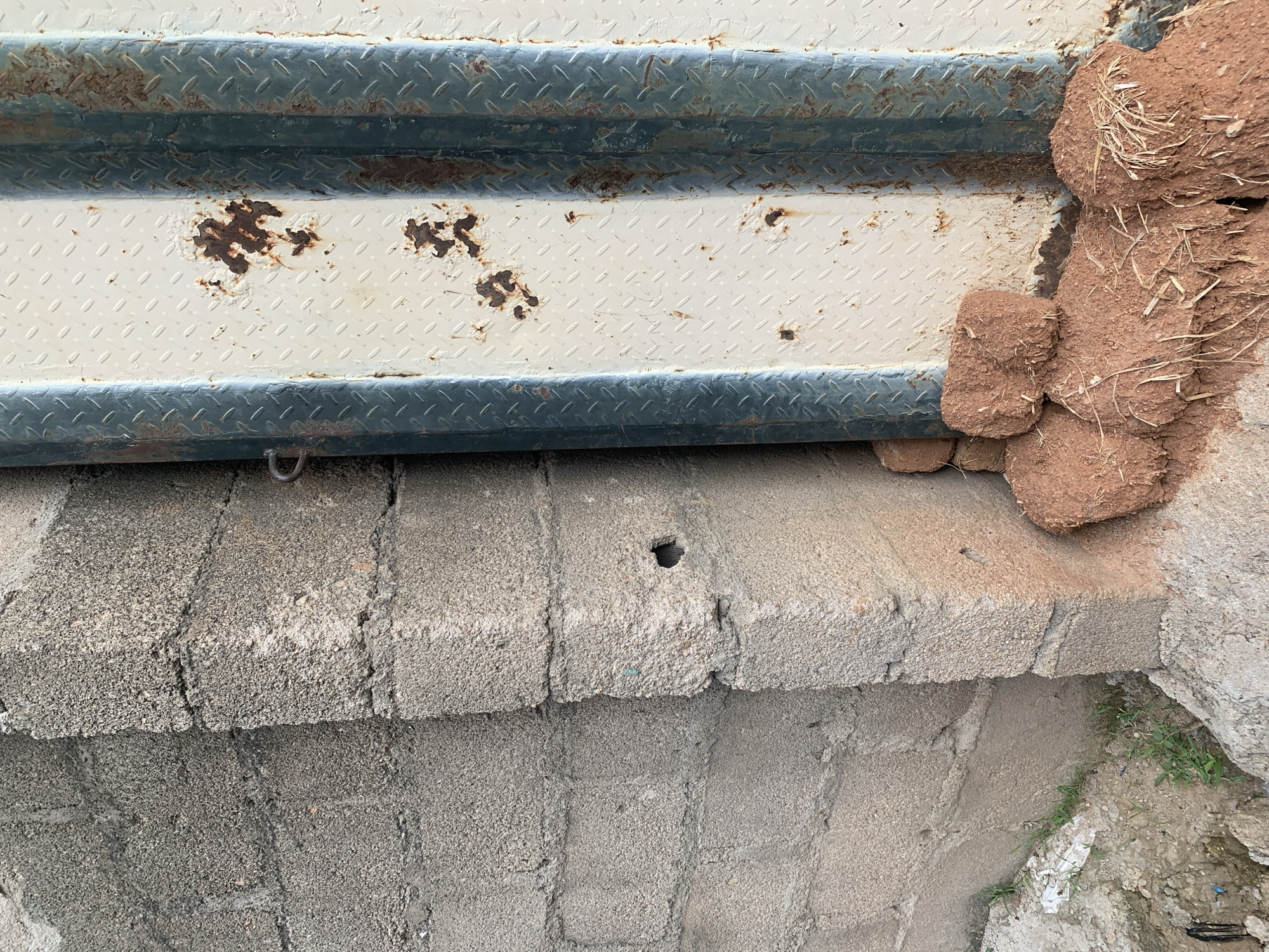 This is a close-up, outdoor, eye-level shot of a section of a weathered wall constructed from rough, grey concrete blocks. A horizontal band of off-white, diamond-patterned metal plating runs across the top of the image, interrupted by areas of rust and what appear to be small, dark marks. A dark blue, metallic trim runs along the bottom edge of the metal plating. Attached to the metal is a small, silver metal ring. To the right of the metal plating, a rough, reddish-brown material, resembling dried mud or clay mixed with straw, is piled up against the wall. This material is textured and irregular, with visible straw fragments protruding from it. Below the metal plating and the mud/clay material, the concrete blocks are visible, showing a rough texture and visible mortar lines. A small, dark circular hole is present in one of the blocks. The lighting suggests it is daytime, and the overall impression is one of an aged, possibly rural or industrial, exterior setting. There is no visible text in the image.