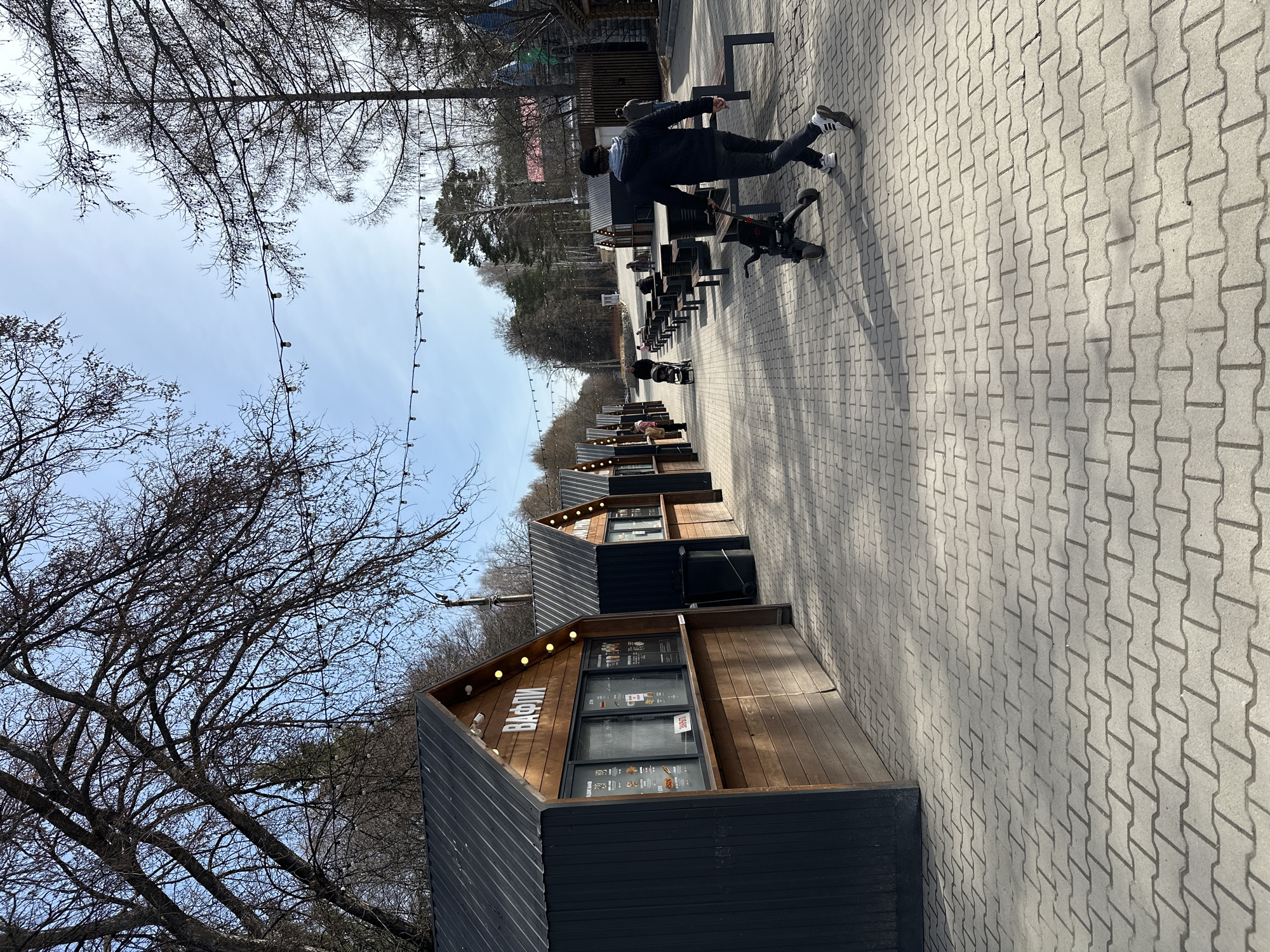 The image shows a row of uniform food kiosks along a pedestrian walkway in Yekaterinburg, Russia. The kiosks are constructed with dark gray siding and wood trim around the large windows. A sign above one of the kiosks reads "ВАФЛИ". The walkway is made of light gray interlocking pavers. A person is balancing on a bench along the side of the walkway with the kiosks. Bare trees line the edge of the walkway, with string lights suspended between them. The sky is pale blue with thin clouds.