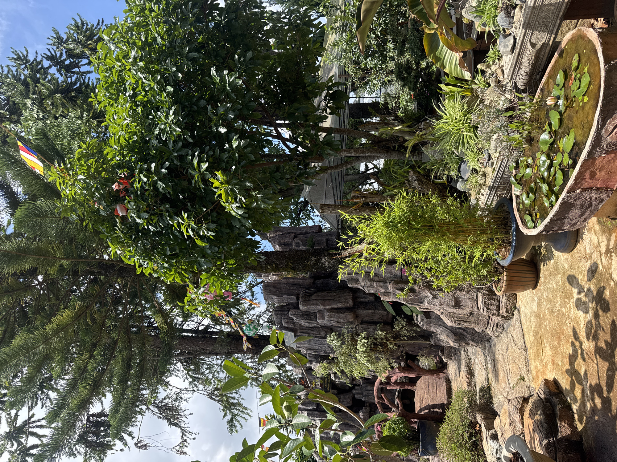 The image depicts a garden in Lạc Dương, Vietnam. A variety of plants are visible, including trees with dense green foliage, bamboo, and water lilies in a large, oval, concrete planter. The garden features a rock wall formation and a concrete pathway. A Buddhist prayer flag is visible hanging from a tree. The scene appears to be a peaceful, outdoor space.