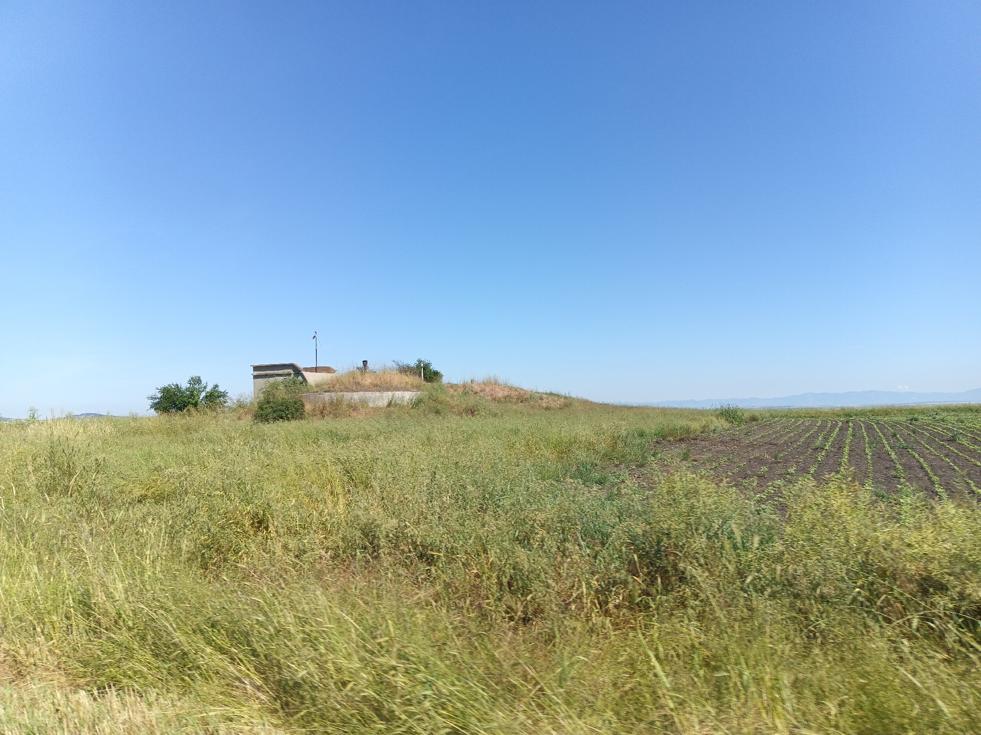 The image shows a rural landscape in General Inzovo, Bulgaria, under a clear blue sky. In the mid-ground, a low, concrete structure, possibly a bunker or a reservoir, is situated on a grassy knoll. The structure is partially covered by vegetation and has a single antenna or flagpole protruding from its top. Surrounding the structure are patches of dry, tall grass and scattered green bushes. To the right of the knoll, a field of young crops is visible, planted in neat rows. The foreground is dominated by a dense growth of tall, green and yellow grass, appearing somewhat windblown. In the far distance, a hazy line of hills or mountains can be seen against the horizon. There are no people or animals present in the image.