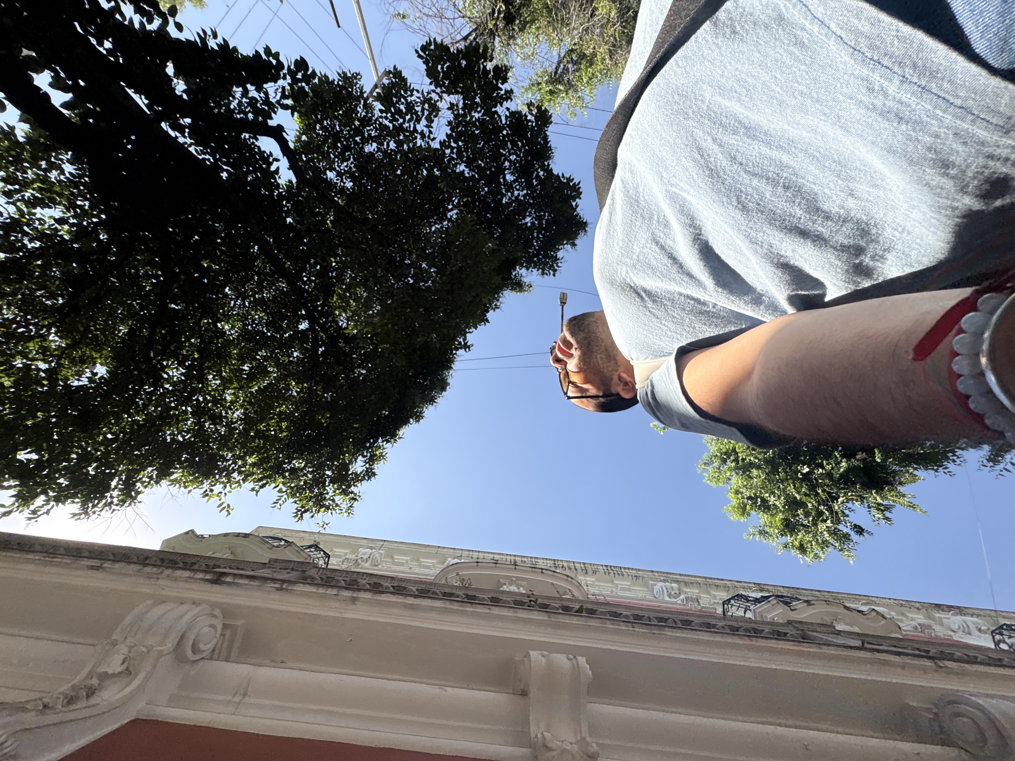 The media file presents a low-angle, upward-looking perspective of an urban scene under a clear blue sky. The entire image is notably rotated clockwise, positioning the top of a building along the bottom and left edges, while the sky and trees fill the remainder of the frame.
In the upper right portion of the image, a person is visible from the chest up. This individual, a man, is wearing a light blue, possibly denim, shirt or jacket, and glasses. His head is tilted slightly, and he appears to be looking upwards. A dark strap, possibly from a bag, crosses his shoulder. On his right wrist, a bracelet adorned with white, rounded beads and a touch of red is visible. Strong sunlight casts clear shadows on his clothing.
Dominating the central and upper-left sections is a clear, bright blue sky, indicating a sunny day. Lush, dark green foliage from several large trees is prominent, silhouetted against the bright sky, particularly on the left side and extending to the right. Faint power lines are visible crisscrossing the sky through the branches.
The ornate upper facade of a building extends across the bottom and lower-left of the frame. It features classical architectural details such as decorative cornices, scrollwork, and sculpted elements. The building appears to be made of light-colored stone or stucco, with an off-white or cream hue, and hints of a reddish-orange color are visible at its base. The architecture suggests a historic urban setting, consistent with Mexico City. No visible text is present in the image.