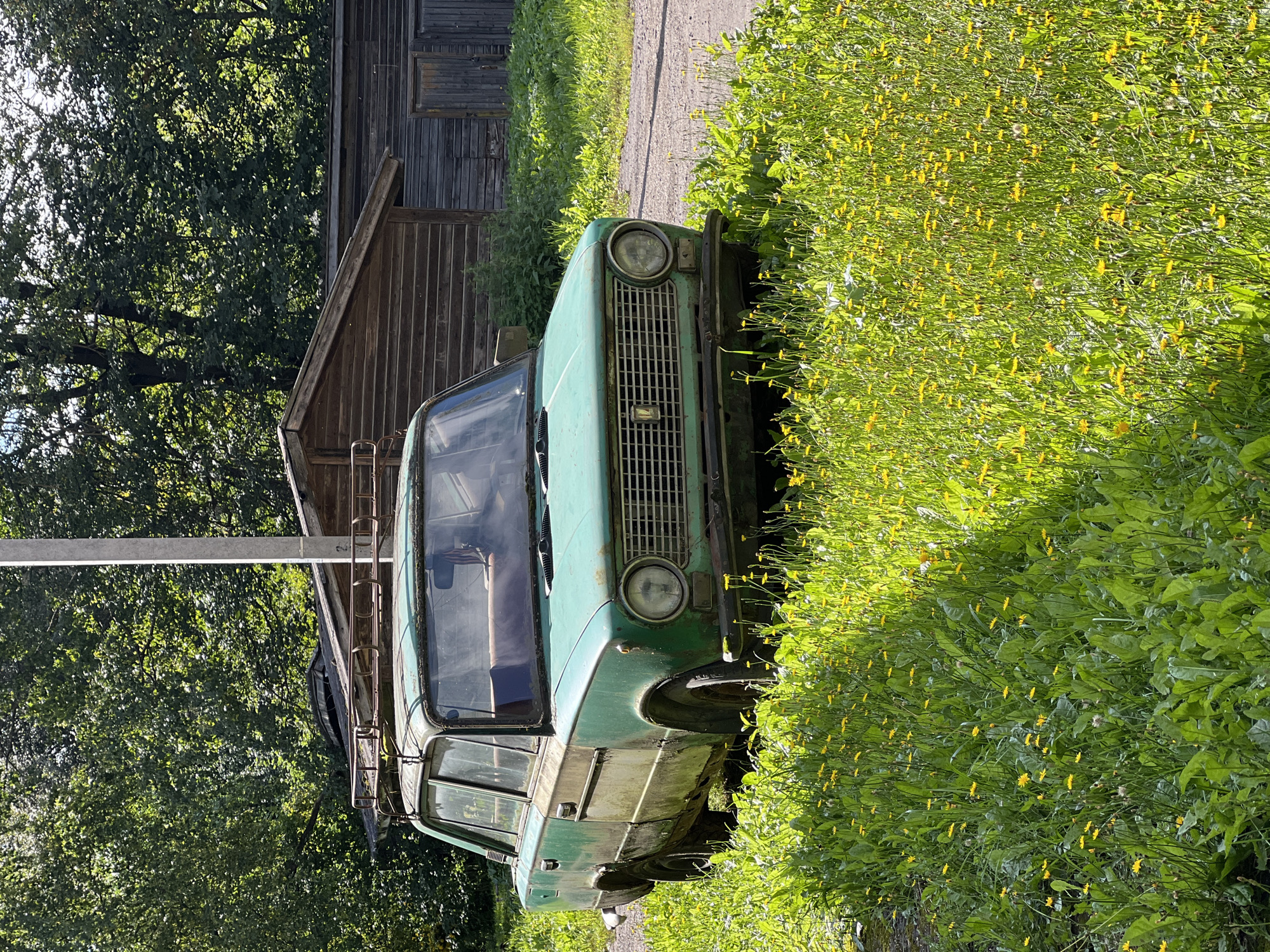 An old, dusty, light green sedan is parked in tall grass with yellow wildflowers. The car has a rusty roof rack and appears to be in disrepair, with visible rust and dirt on its exterior. Behind the car, a wooden shed with a pitched roof stands under a canopy of green trees. A tall, slender pole, likely a utility pole, is positioned to the left of the car. The scene is bathed in sunlight, casting shadows across the grassy area and the car. The ground is a gravel road.
