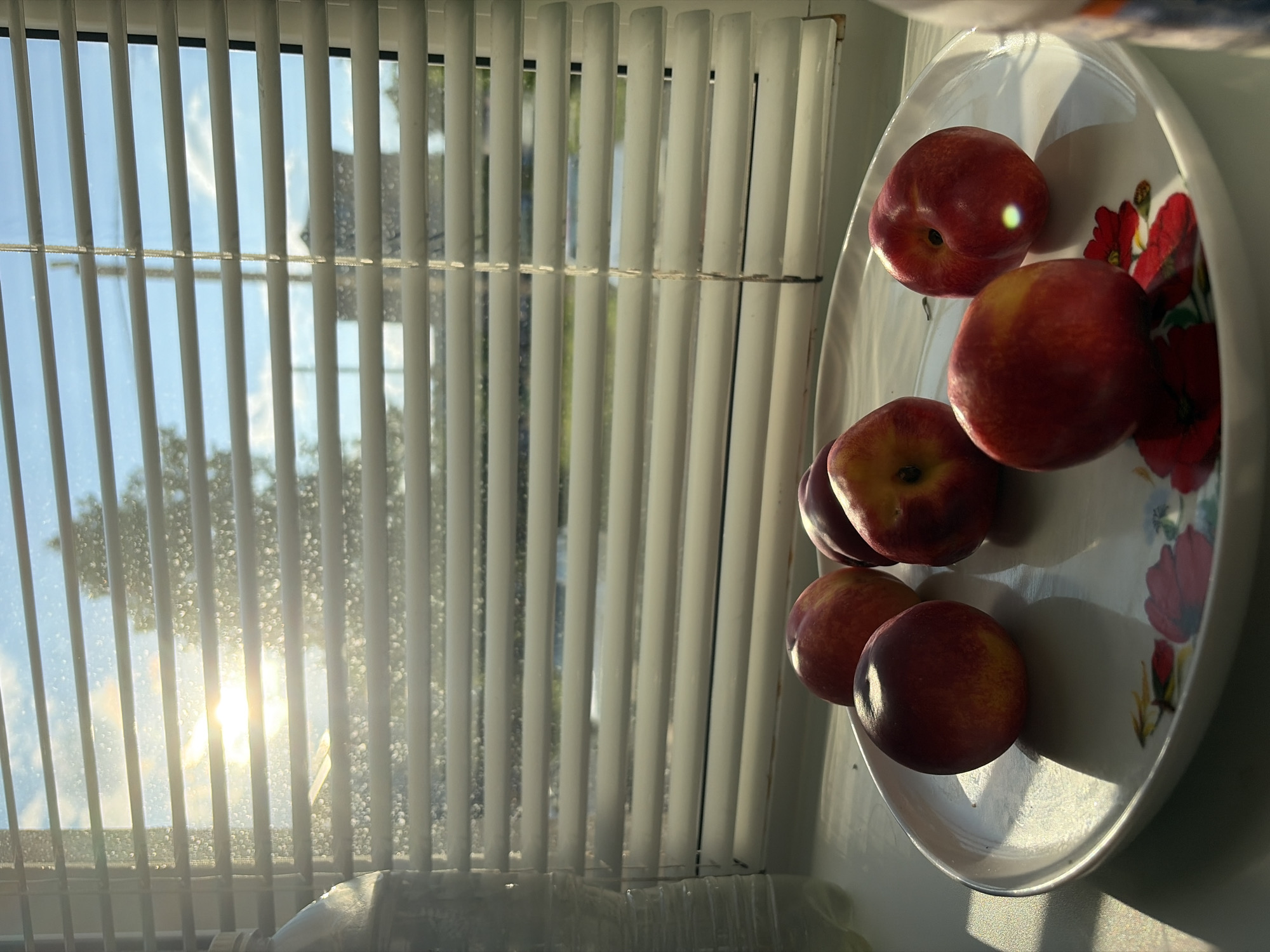 A plate of nectarines sits on a windowsill in front of white blinds. The sun shines through the blinds, casting long shadows and highlighting the condensation on the windowpane. Outside, a tree and a building are visible through the blinds. The plate is white and decorated with red and floral patterns. There are no people in the image. This scene could be from any city with a windowsill and blinds, so the location in Tuymazy, Russia, cannot be confirmed from the image alone.