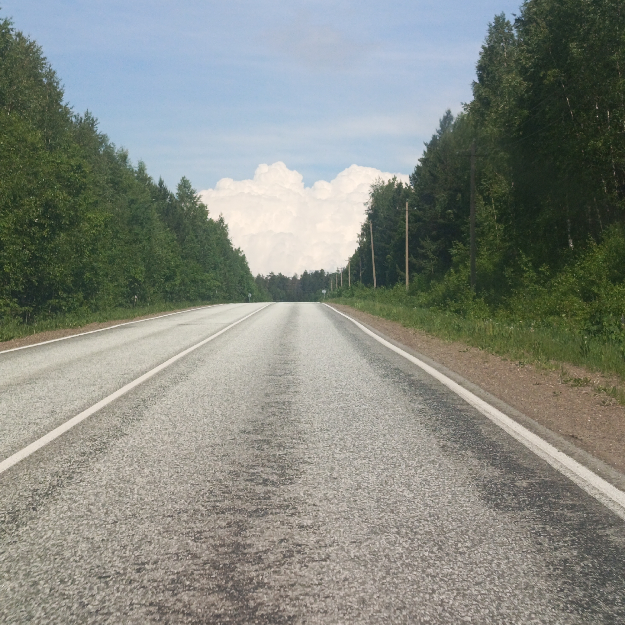 The image shows a straight, asphalt road stretching into the distance. White lane markings delineate the edges of the road. Lush green trees line both sides of the road, forming a dense forest. In the distance, a large, fluffy white cloud dominates the sky. The sky itself is a pale blue color. The location could be the city of Chaikovsky, Russia, given the landscape type and weather conditions. No people, interactions or actions are visible in the photo.