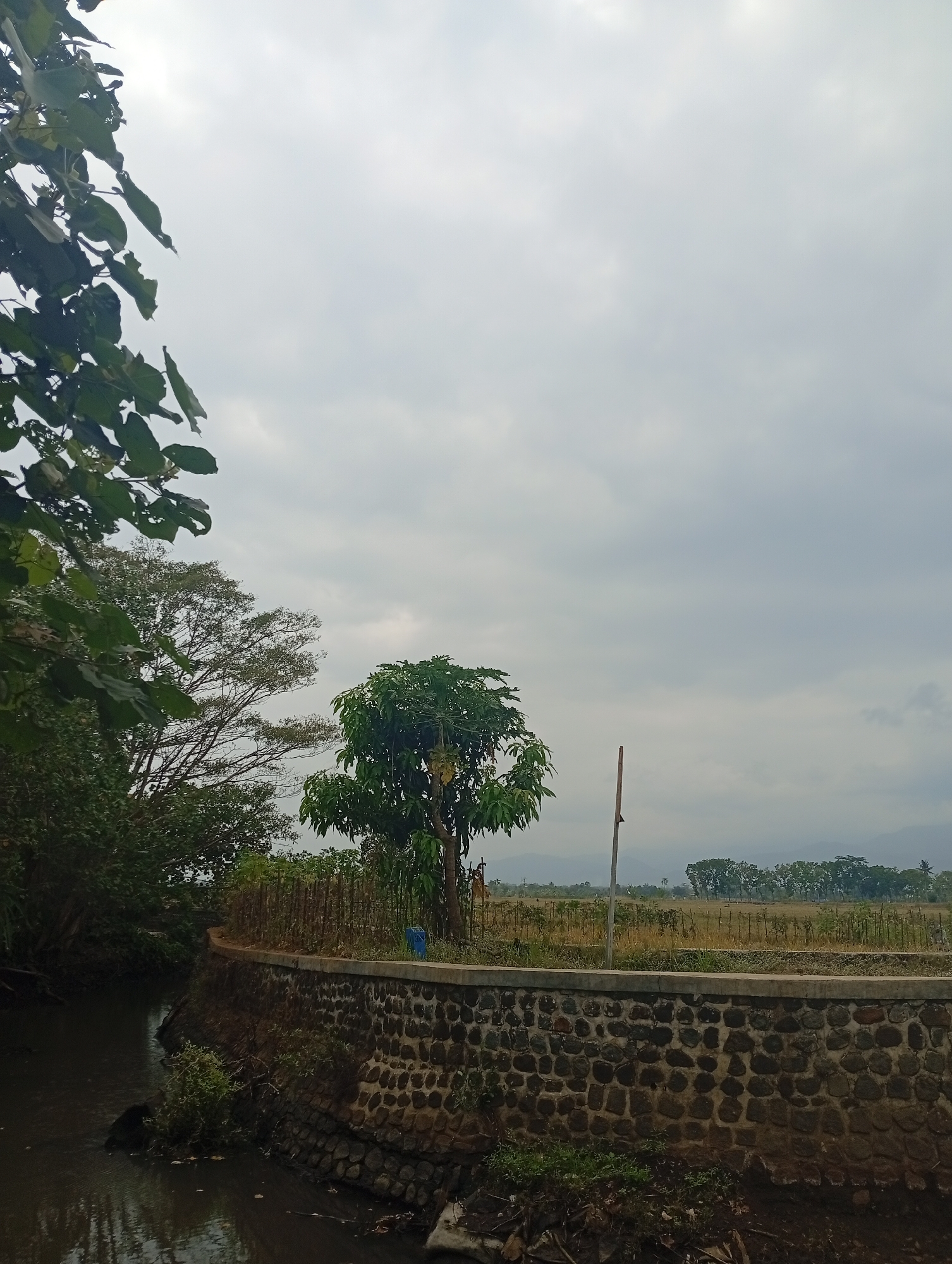 The image shows a serene natural scene with a focus on a riverbank and a surrounding landscape under an overcast sky. In the foreground, a dark, flowing river occupies the left side of the frame. Its surface is calm, reflecting the muted tones of the sky. The riverbank is reinforced with a stone wall, constructed from irregularly shaped stones of varying sizes and colors, predominantly dark grey and brown.
To the right of the river, the stone wall curves away, topped with a concrete edge. Beyond this wall, a pathway or paved area is visible, bordered by a low fence made of vertical wooden stakes and possibly some wire. A slender, vertical wooden post stands near the center of this area.
Behind the fence, a cultivated field stretches into the distance. The field appears to be fallow or has harvested crops, with dry, light-colored stalks dominating the ground. A line of trees forms a natural barrier along the horizon, with a distant, hazy mountain range visible beyond them.
On the left side of the image, lush green foliage from trees overhangs the river and the stone wall, creating a natural, untamed edge. A prominent tree with dense green leaves stands just behind the stone wall, contributing to the verdant feel of the scene. The overall atmosphere is peaceful and rural, suggesting a location outside of a major urban center. The sky is a uniform, pale gray, indicating cloudy weather. No people are visible in the image.
