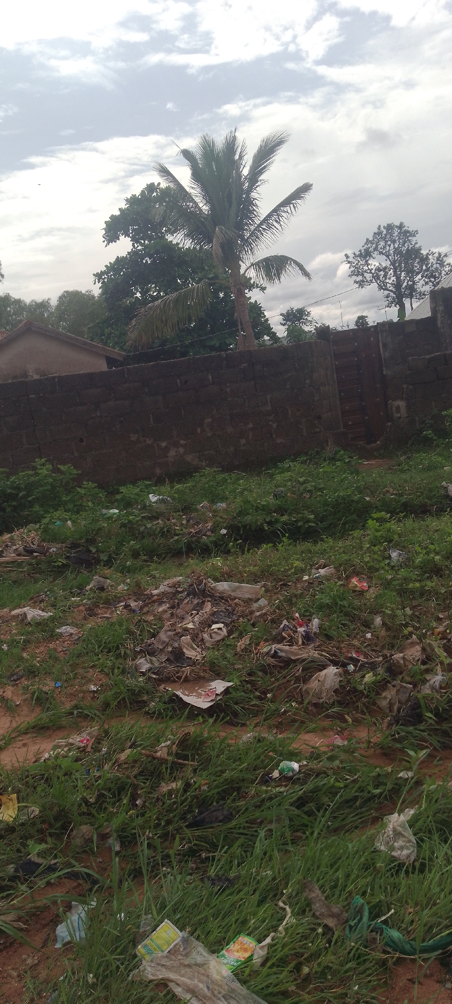 The image depicts an outdoor scene with a prominent brick wall in the middle ground, separating a cluttered foreground from a more distant backdrop. The foreground is heavily strewn with various types of refuse, including plastic bags, wrappers, and other debris, interspersed with patchy green grass and exposed brown soil. Beyond the brick wall, a building with a light-colored roof is partially visible on the left, and further to the right, there is a wooden gate set into the wall. Lush green foliage, including a palm tree, forms the backdrop, with trees and a cloudy sky completing the upper portion of the frame. The scene appears to be located in a semi-urban or developing area, possibly in Jalingo, Nigeria, characterized by the presence of both residential structures and significant litter accumulation. No people are visible in the image.