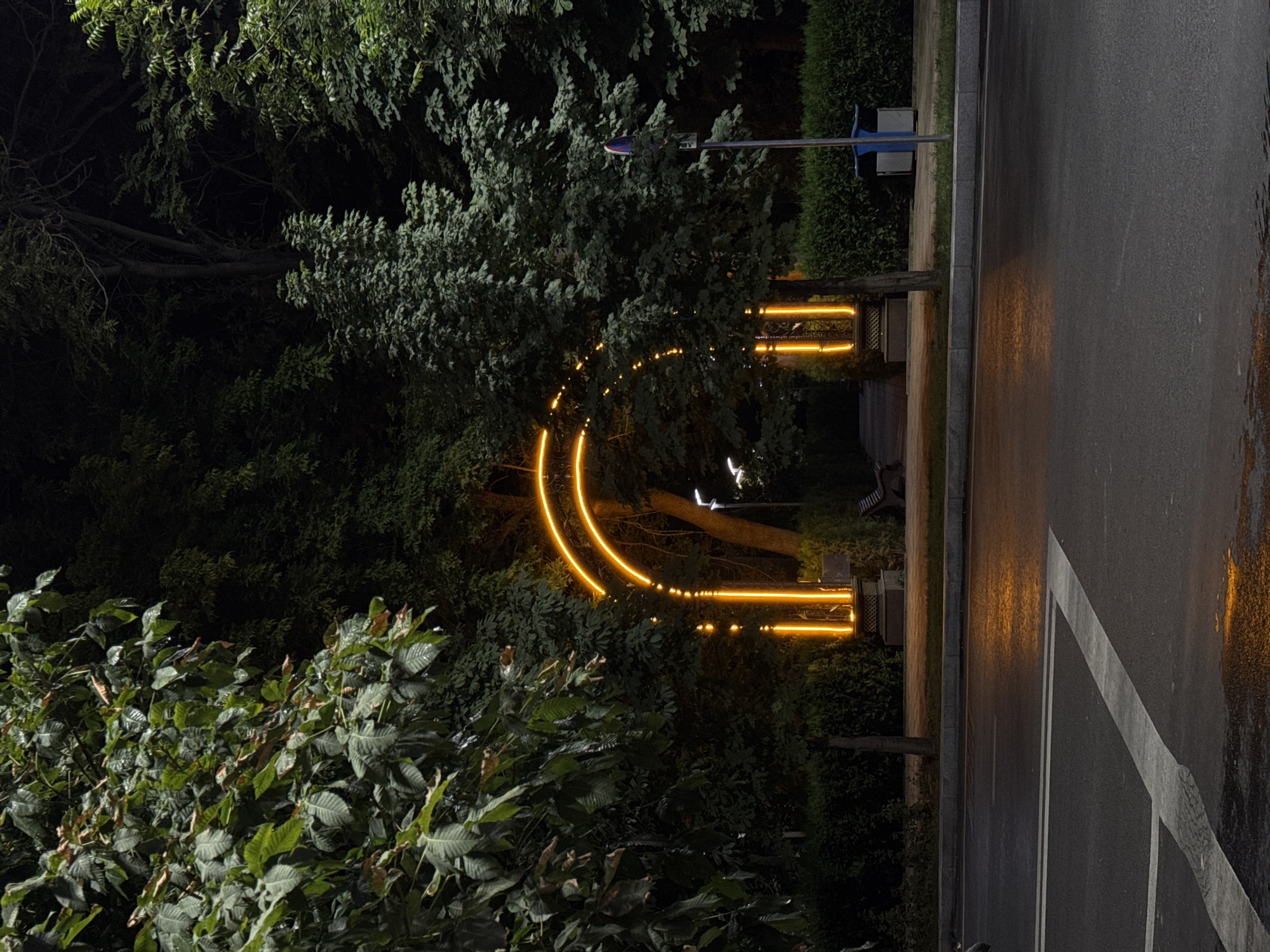 A night scene depicts a park entrance illuminated by a bright orange neon arch. The arch is situated amidst lush green trees and manicured hedges, suggesting a well-maintained public space. The wet asphalt road in the foreground reflects the neon light, indicating recent rain. A white pedestrian crossing is visible on the road. To the right of the arch, a blue trash bin and a street sign are present. The overall atmosphere is serene and somewhat magical due to the vibrant lighting against the dark foliage. The location is identified as the park area near the Palace of Nations in Dushanbe, Tajikistan.