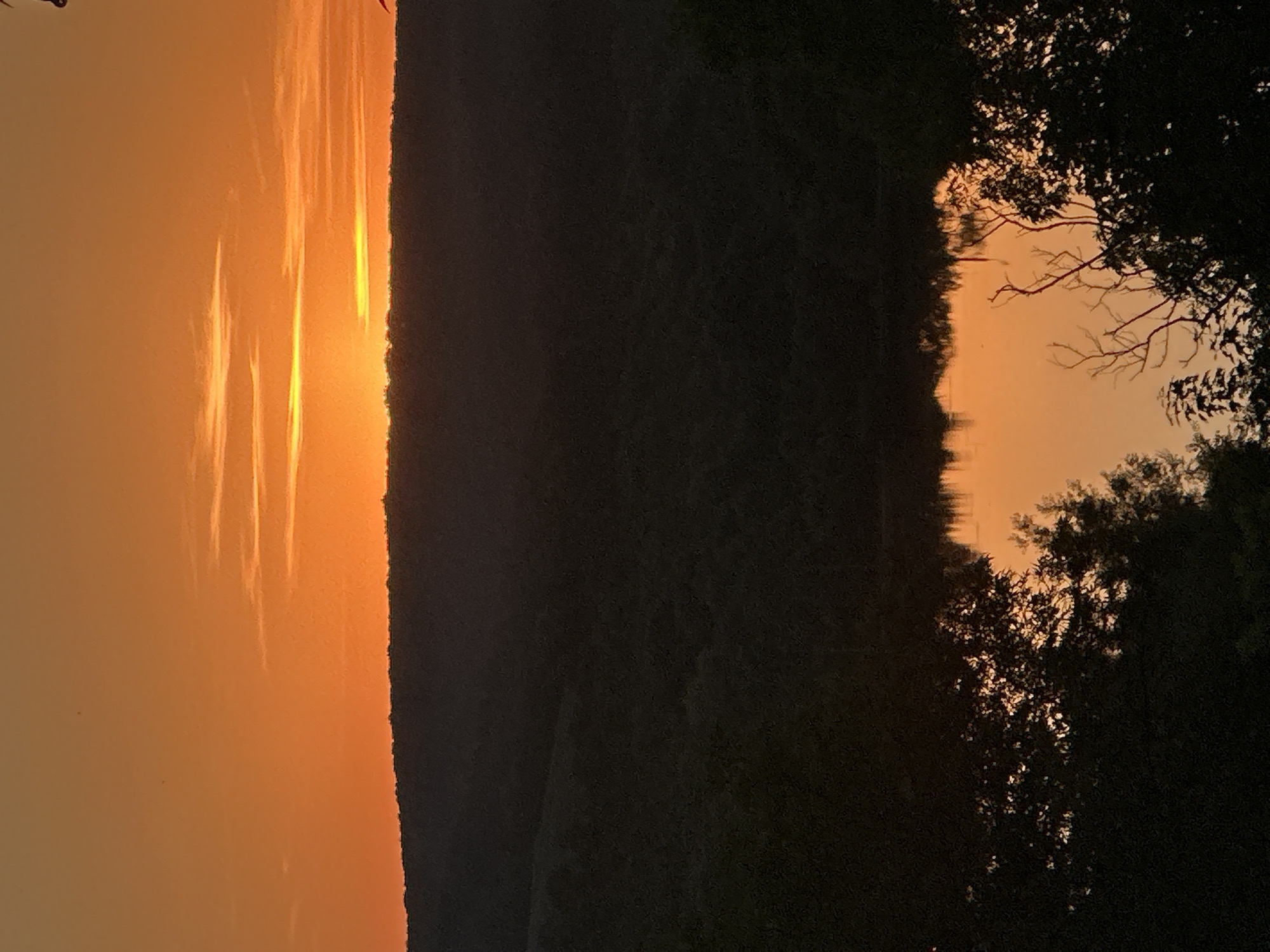 The image captures a serene sunset over a landscape near Makiv, Ukraine. The sky is ablaze with vibrant orange and yellow hues, transitioning into a deep twilight as it meets the horizon. A silhouetted line of hills forms a dark barrier against the colorful sky, dotted with subtle wisps of clouds. Below the hills, a body of water reflects the warm tones of the sunset, creating a mirror image on its surface. The foreground is dominated by the dark silhouettes of trees and foliage, their intricate branches reaching towards the water and sky. The overall impression is one of tranquility and natural beauty at the close of day.