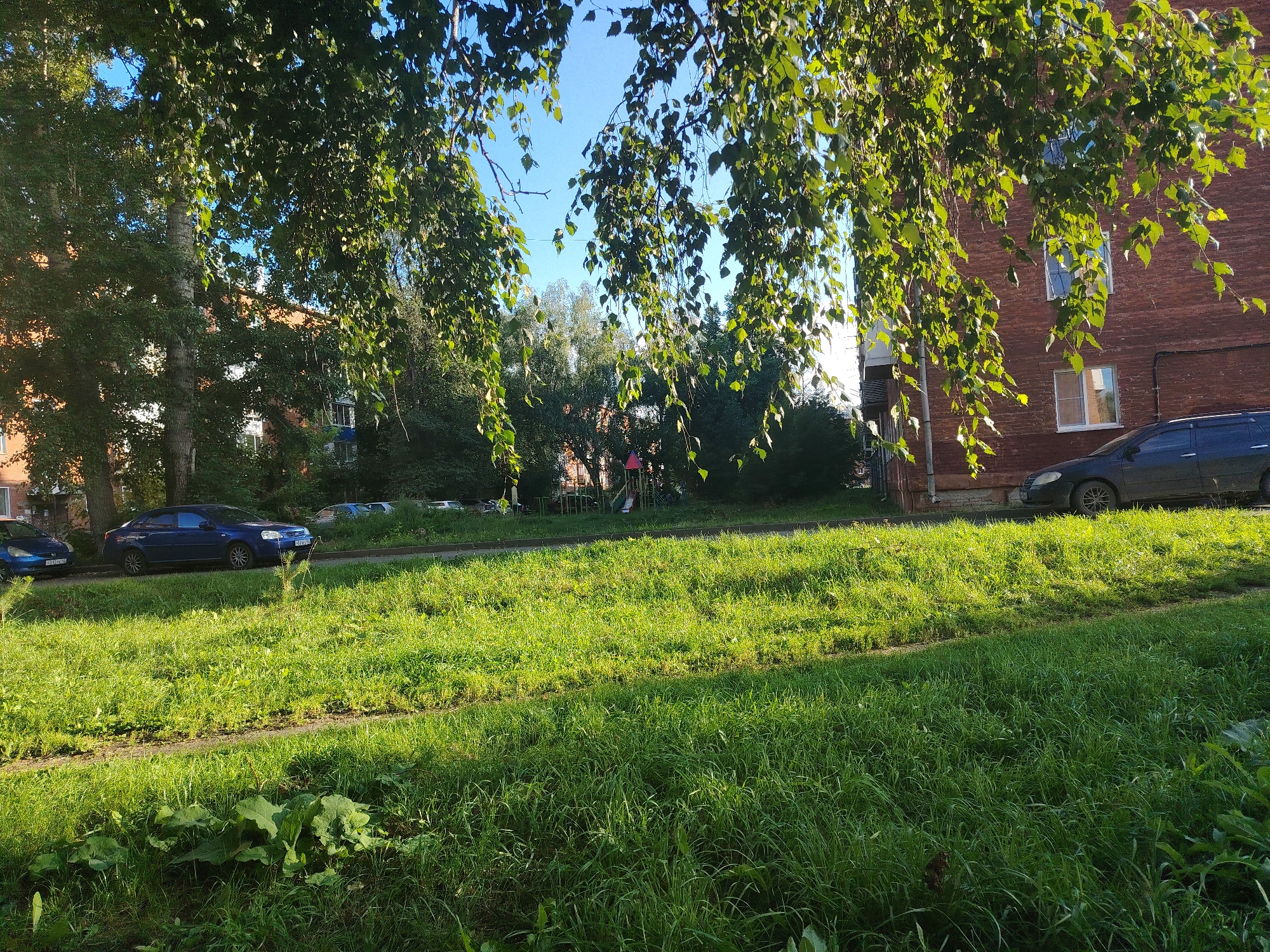 The image depicts a residential area in Kemerovo, Russia, bathed in sunlight under a clear blue sky. The foreground is dominated by lush green grass, with some larger leafy plants in the lower left corner. A pathway is visible cutting through the grass. In the middle ground, a row of parked cars, including a dark-colored sedan and a blue sedan, are lined up along the side of a paved area. Behind the cars, a tall brick apartment building with several windows is visible. Trees with green leaves partially obscure the view of the building and a playground structure in the distance. The overall scene suggests a peaceful, ordinary day in a city neighborhood.