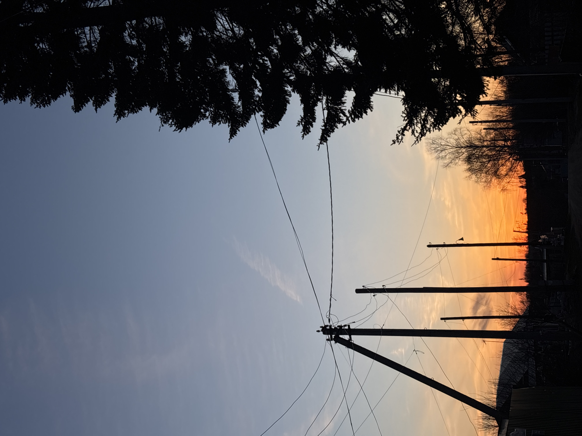 The image shows a dusk or dawn scene in Фоки, Russia, with a view looking upwards at a row of telephone poles against a sky graded from blue to orange. Silhouetted pine branches are visible at the top of the frame. A faint contrail is in the blue portion of the sky. Utility wires are strung between the poles, and the ground is obscured by foliage and a structure.