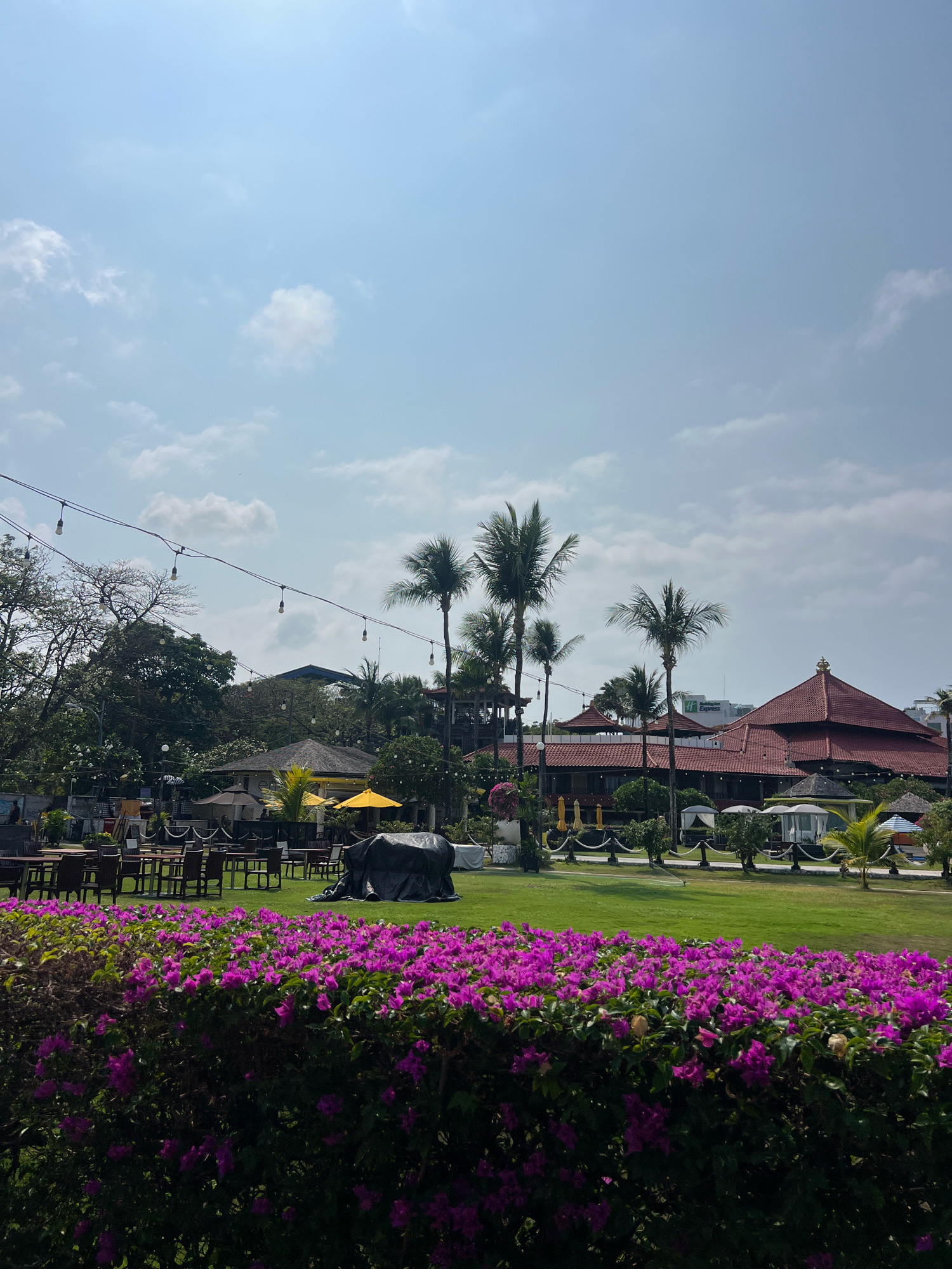 This image depicts an outdoor area in Kuta, Indonesia, characterized by lush greenery, vibrant flora, and architectural elements. In the foreground, a dense hedge of bright pink bougainvillea flowers creates a striking border. Beyond this, a manicured green lawn stretches towards several buildings. Among the lawn are tables and chairs, some covered by umbrellas, suggesting an outdoor dining or seating area. Palm trees are interspersed throughout the scene, adding to the tropical ambiance. The background reveals buildings with traditional Indonesian-style roofs, some featuring red tiles, and a multi-story building with a visible "Holiday Inn Express" sign. A string of decorative lights hangs overhead, spanning across the scene, and the sky is partly cloudy, indicating daylight.