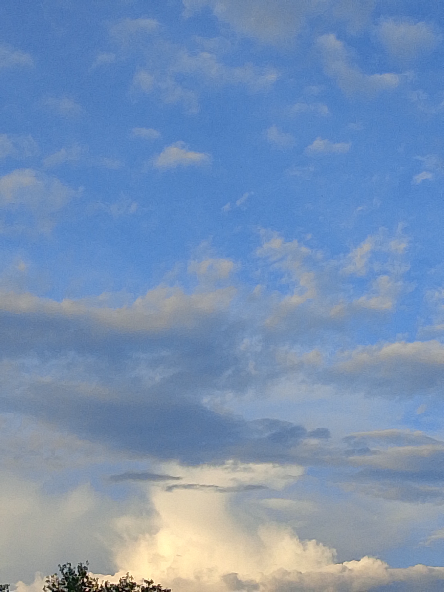 The image captures a sky with scattered clouds, showcasing a blend of blue sky and various cloud formations. The clouds range from wispy, light-colored ones high up to denser, darker gray clouds lower in the frame. The bottom portion of the image shows the tops of trees, silhouetted against a bright, possibly sunlit, cloud bank. The scene appears to be an outdoor, natural setting, with no visible city structures or people.