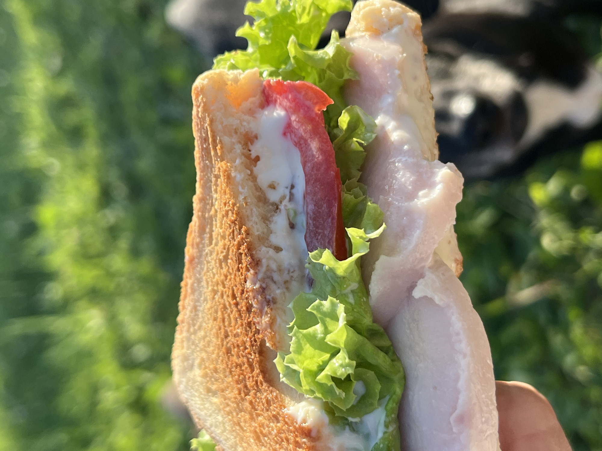 A close-up shot shows a sandwich being held in hand against a blurred green background of grass and foliage, suggesting an outdoor setting. The sandwich has two slices of toasted bread, with lettuce, a slice of tomato, and what appears to be ham and mayonnaise filling the gap. In the blurred background, the face of a black and white dog is visible. There is no indication of the location being Nizhny Tagil, Russia.