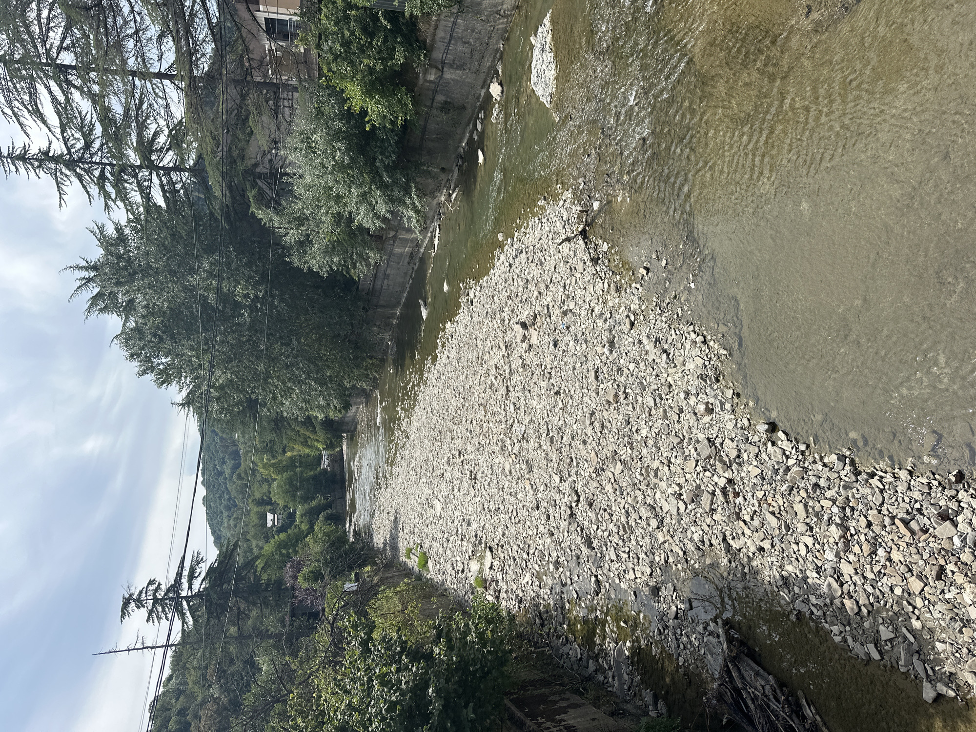 The image shows a view from above of a riverbed with a narrow channel of water flowing through it. The riverbed is largely covered with light-colored stones and pebbles, with some areas of dry, exposed riverbed. Lush green trees and vegetation line the banks of the river, with some buildings visible in the background, suggesting an urban or semi-urban environment. The sky is cloudy. The scene is consistent with a river in Sochi, Russia, known for its natural beauty and mountainous terrain. There are no people or animals visible in the image. The overall impression is one of a natural landscape that has been partially integrated into human development.
