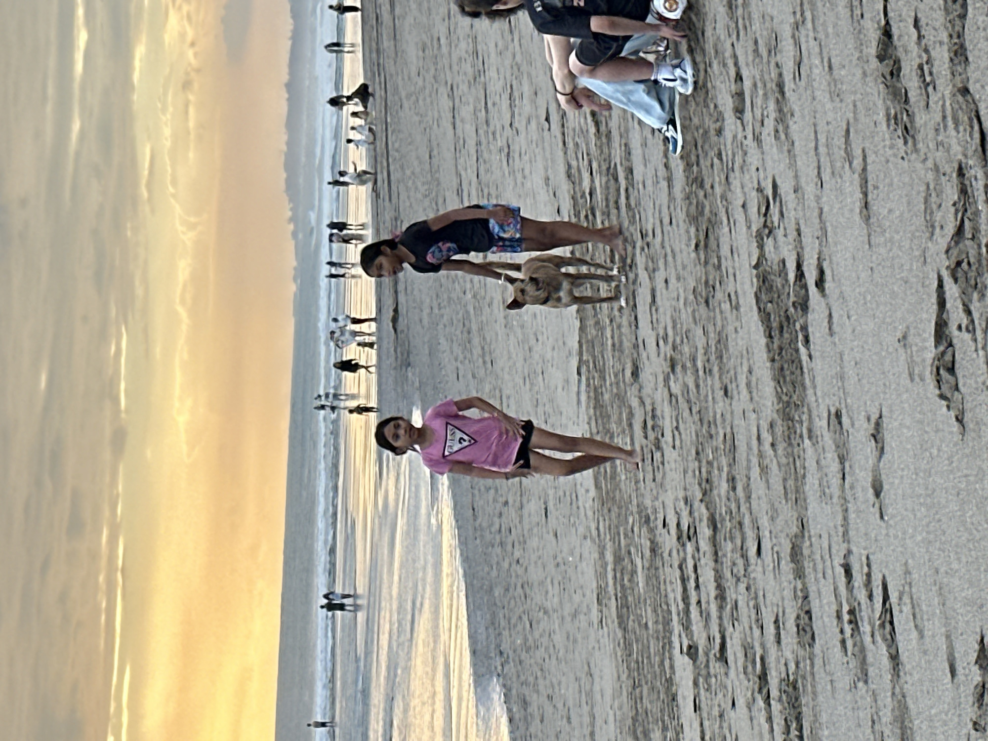 The image depicts a beach scene in North Kuta, Indonesia, during sunset. The sky is a gradient of orange and yellow, with scattered clouds. The ocean, with gentle waves, stretches towards the horizon. Several people are visible in the background, spread across the sand and the water's edge, some walking, others standing or sitting.
In the foreground, two young girls are prominent. The girl on the left, wearing a pink t-shirt and black shorts, stands with her hands on her hips, looking towards the viewer. The girl on the right, dressed in a black t-shirt and colorful shorts, is standing next to a medium-sized, light-brown dog, which appears alert. The dog is looking forward. To the right of the girls, the legs and lower body of two individuals are visible; one is sitting, wearing light-colored pants and sneakers, and the other appears to be crouching or reaching for something on the sand. The sand itself is wet and textured, with ripples and debris. The overall atmosphere suggests a relaxed evening on a popular beach.