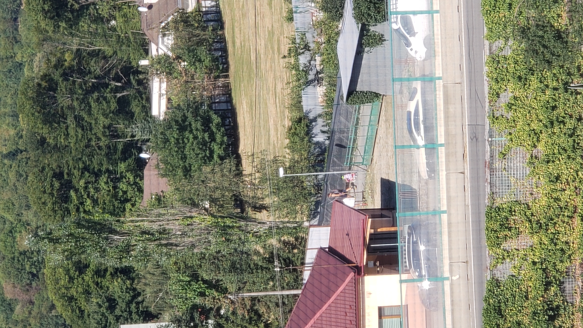 The image captures a view of a residential area adjacent to a highway in Prešov, Slovakia. In the foreground, a section of the highway is visible with a barrier and green fencing. Two cars, a dark sedan and a lighter colored sports car, are seen on the highway. Beyond the highway, a property with a red-roofed house and a smaller adjacent building is visible. A woman and a child are present in the yard of this property, with the child near a pink tricycle. A tall, slender tree stands prominently in the middle ground. Further back, several houses with brown roofs are situated amongst dense green trees, and the image is framed by the natural landscape of hills covered in foliage.