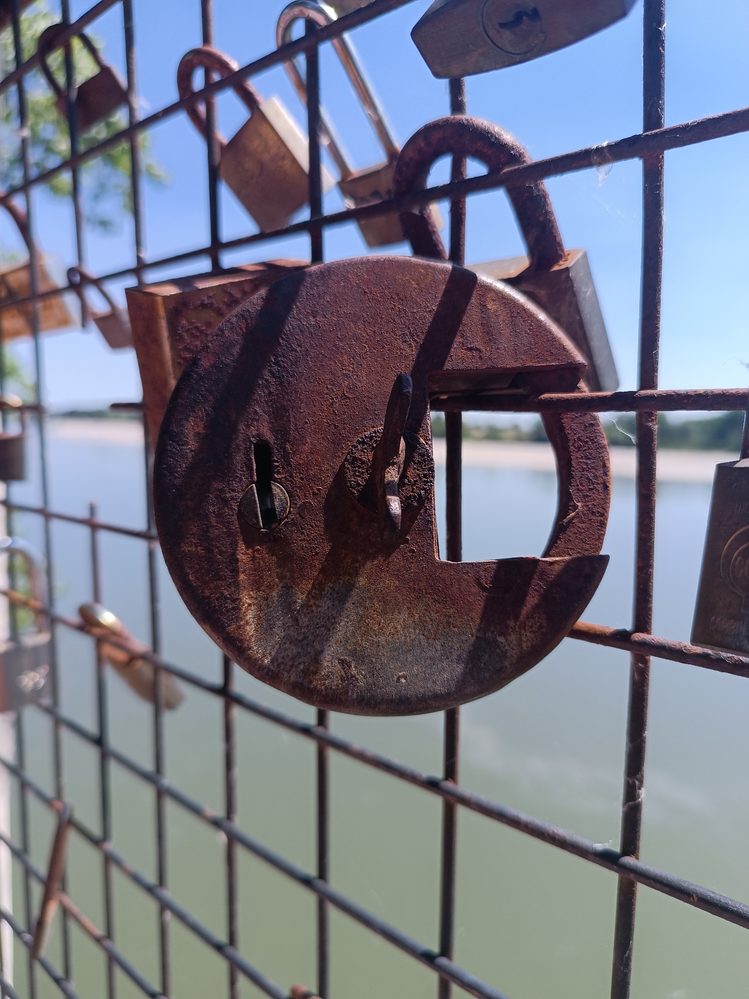 The image depicts a close-up of a rusty, round padlock affixed to a metal wire fence. The padlock's circular body is heavily corroded, with its shackle open. The fence is also weathered and rusty, with other padlocks attached to it. In the background, a body of water can be seen with a light-colored shoreline on the opposite bank. The sky is blue and clear. This photo was taken at the "Padlocks of Love" site on the banks of the Po River in Viadana, Italy.