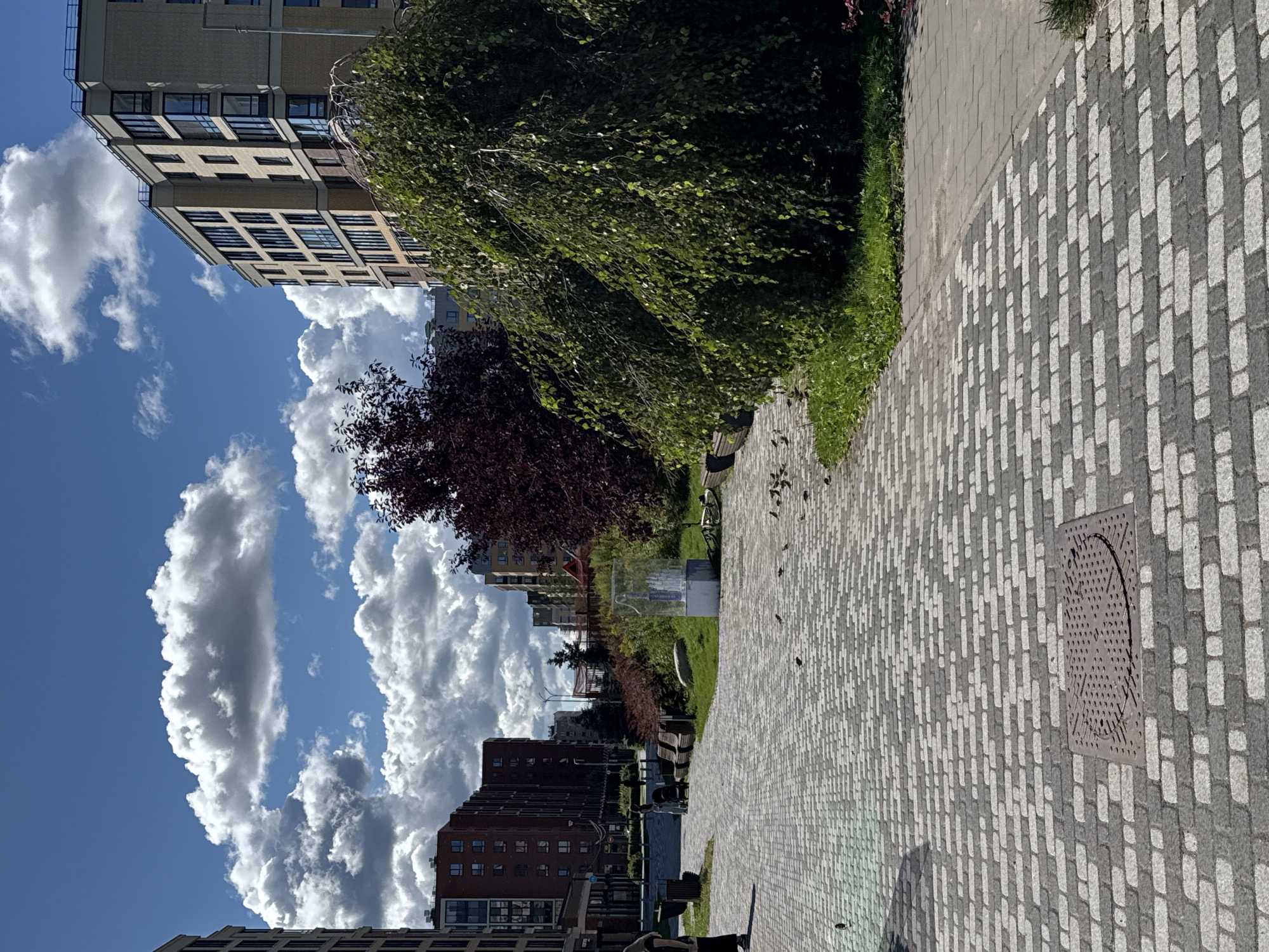 In Novoselye, Russia, a paved walkway made of grey and white rectangular stones leads towards several modern apartment buildings under a bright blue sky with scattered white clouds. The walkway features a metal manhole cover in the foreground. To the left, a person is partially visible near a trash bin. Further down the path, two people are pushing a stroller, and several park benches are placed alongside a grassy area. A large, weeping green tree dominates the right side of the image, with a smaller dark red tree behind it. In the middle ground, a clear glass enclosure contains a white sculpture, and a bicycle lies on the ground beside it. Small birds are scattered across the paved areas and the grass. The apartment buildings are multi-story structures with numerous windows.