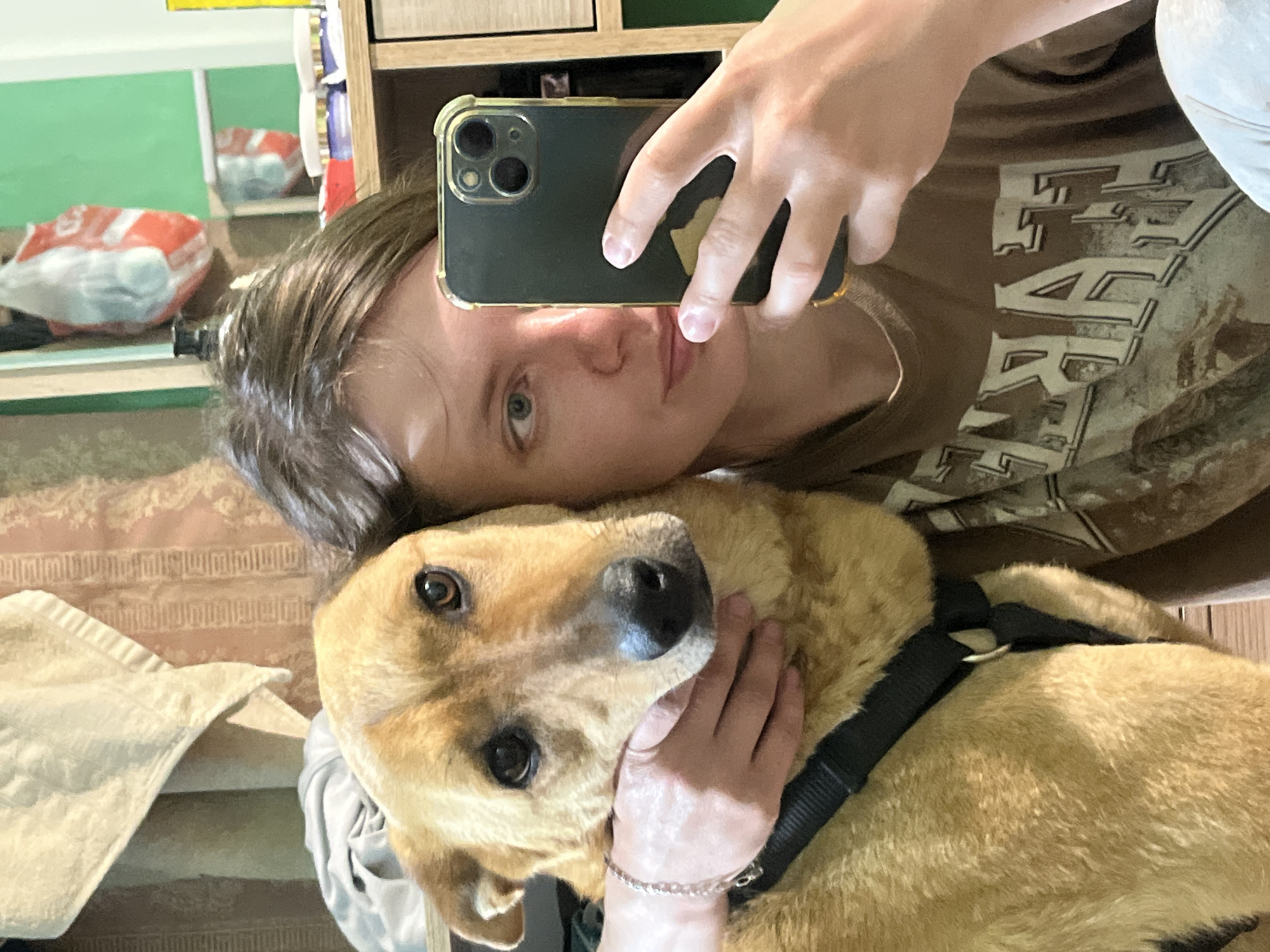 A person is taking a selfie with a light-brown dog. The person is holding a black phone with a triple-lens camera. The dog is wearing a black harness. The background includes a green wall, light-colored furniture, and patterned bedding. There is no indication of Nizhny Tagil, Russia, in the image.