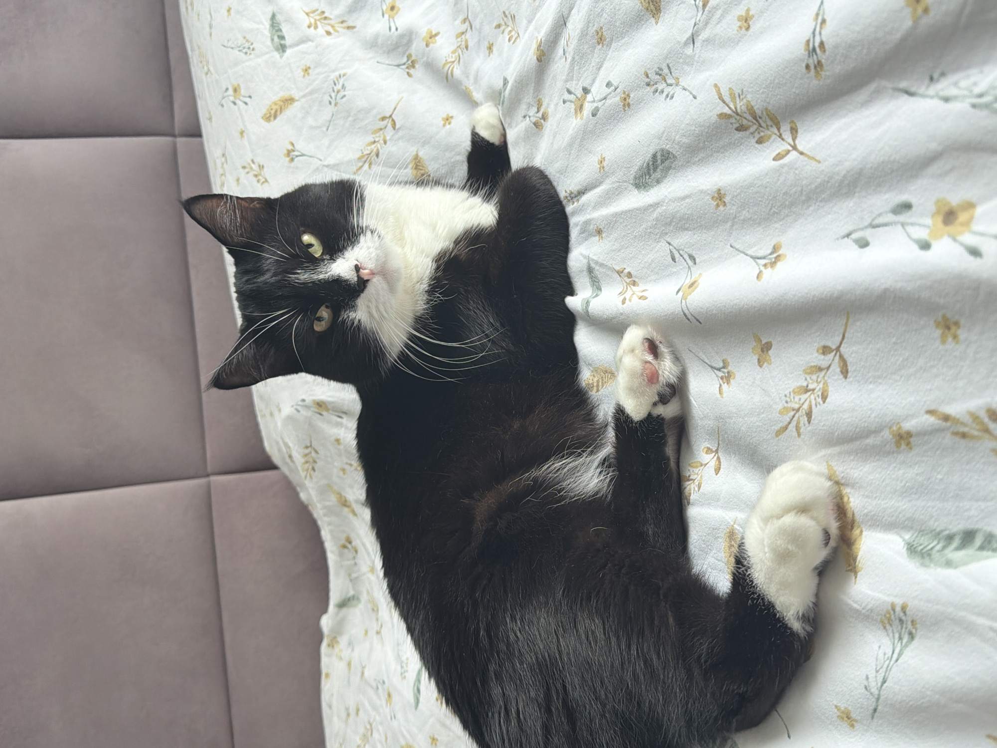 A black and white cat with green eyes is lying on a bed with a floral pattern. The cat is facing the camera and appears to be relaxed. The bed is covered with a white sheet that has a delicate pattern of yellow flowers and green leaves. In the background, a plush headboard is visible. The image was taken indoors.