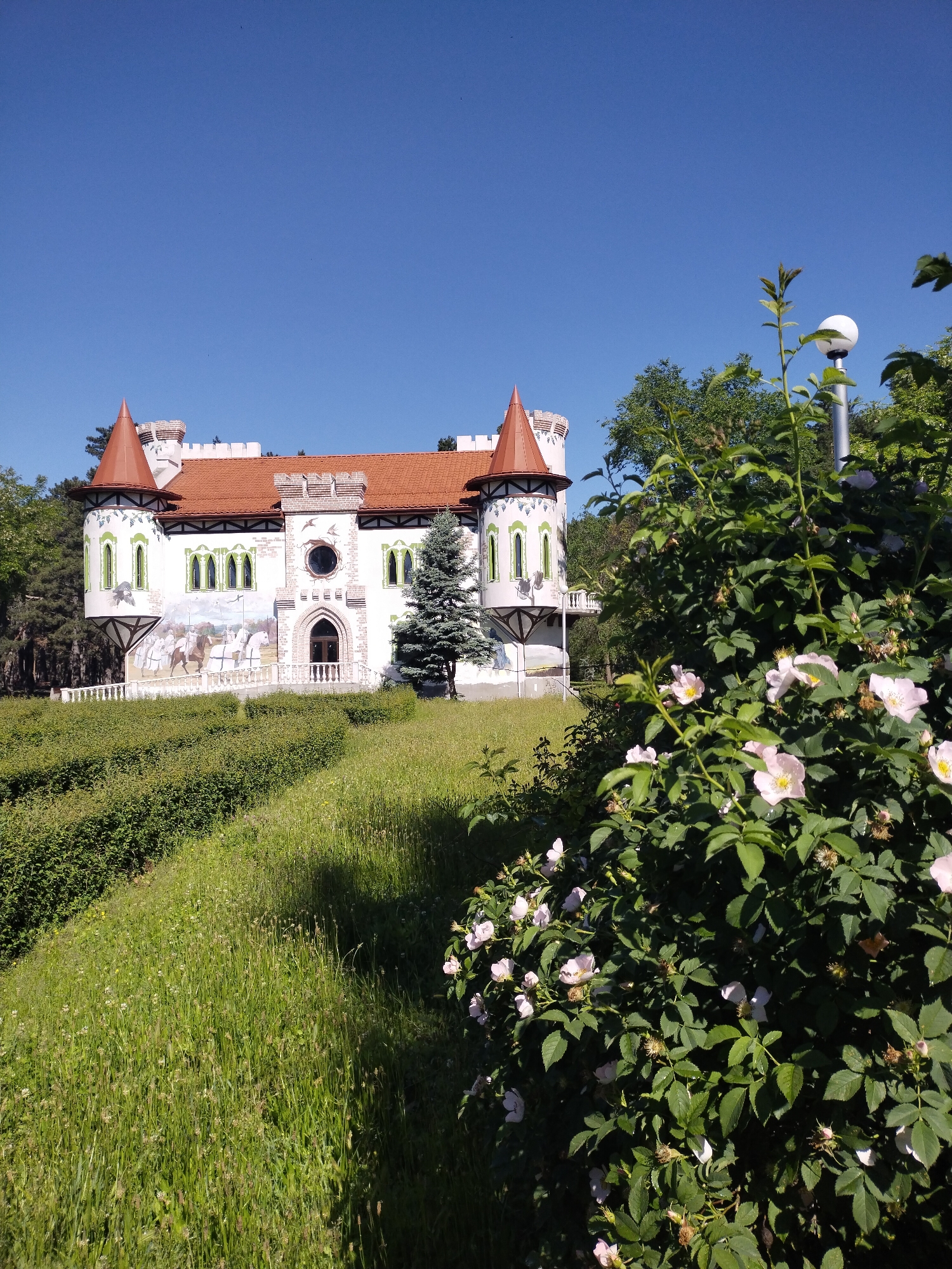 The image depicts a fanciful white castle-like structure in Horishni Plavni, Ukraine. The building has red-brown tiled roofing, with two towers, each topped with a conical red-brown roof. The towers and the main body of the structure feature battlements. There is a mural depicting figures on horseback on the side of the building.
The castle is situated on a grassy slope. A well-maintained hedge runs along part of the slope, and tall grass is visible. A rose bush with pink flowers is in the foreground, partially obscuring the view of the castle. A lamppost is also visible next to the bush. The sky is a clear, bright blue.